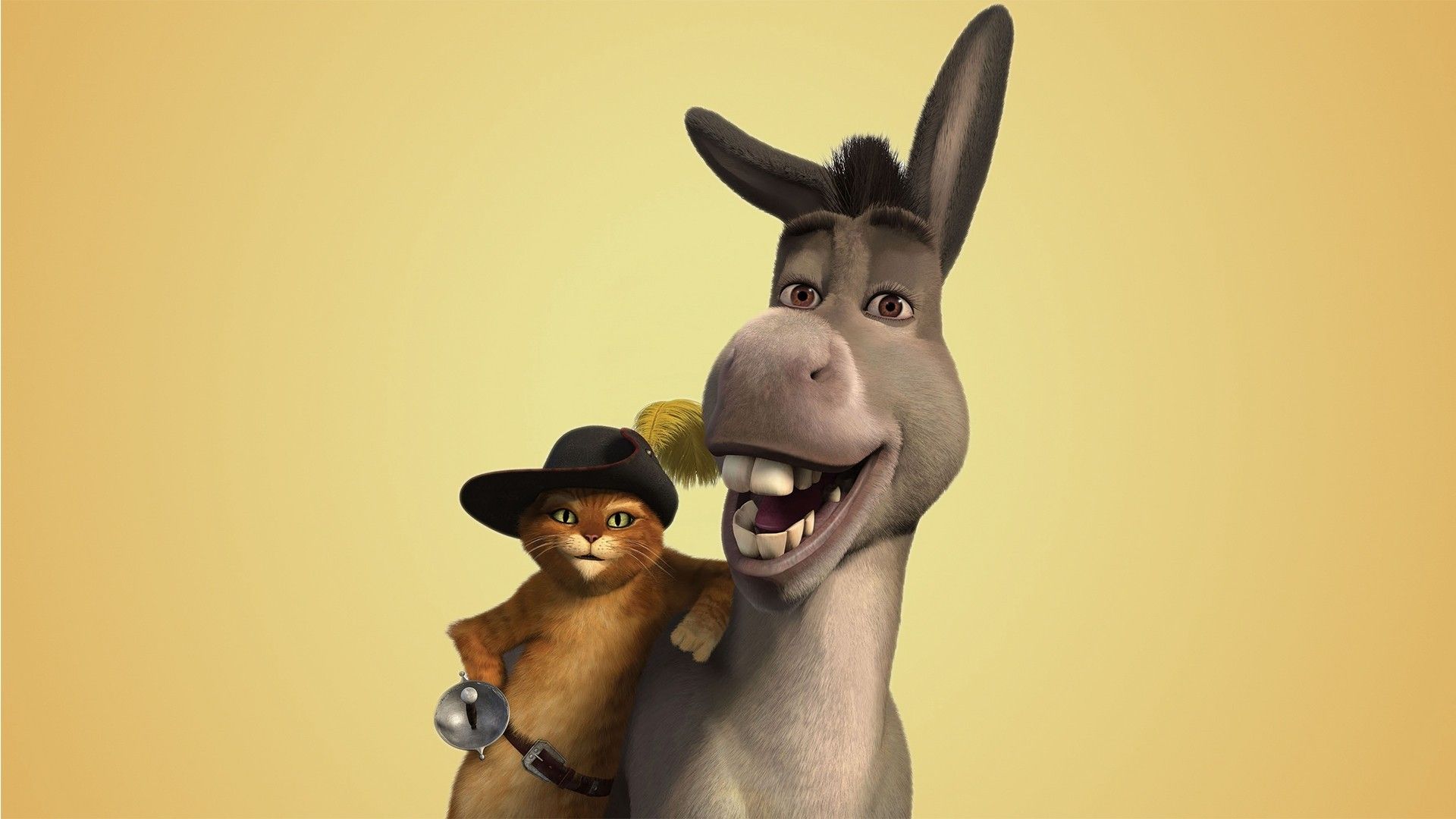Donkey Wallpapers HQ 29140 - Baltana
