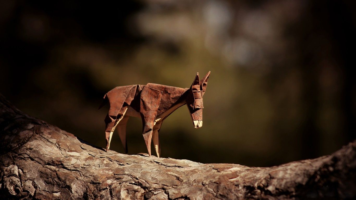 1366x768 Donkey Origami 1366x768 Resolución HD 4k Wallpapers, Imágenes
