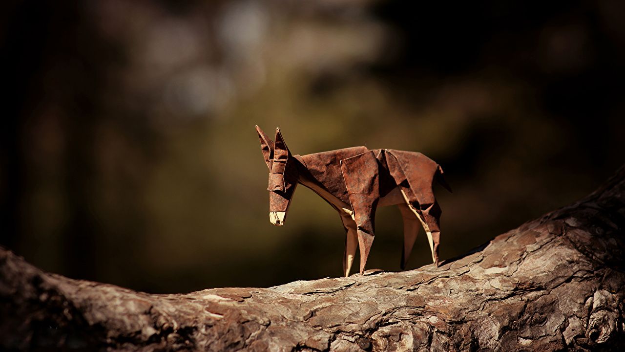 Fondos De Escritorio Donkey Origami Paper