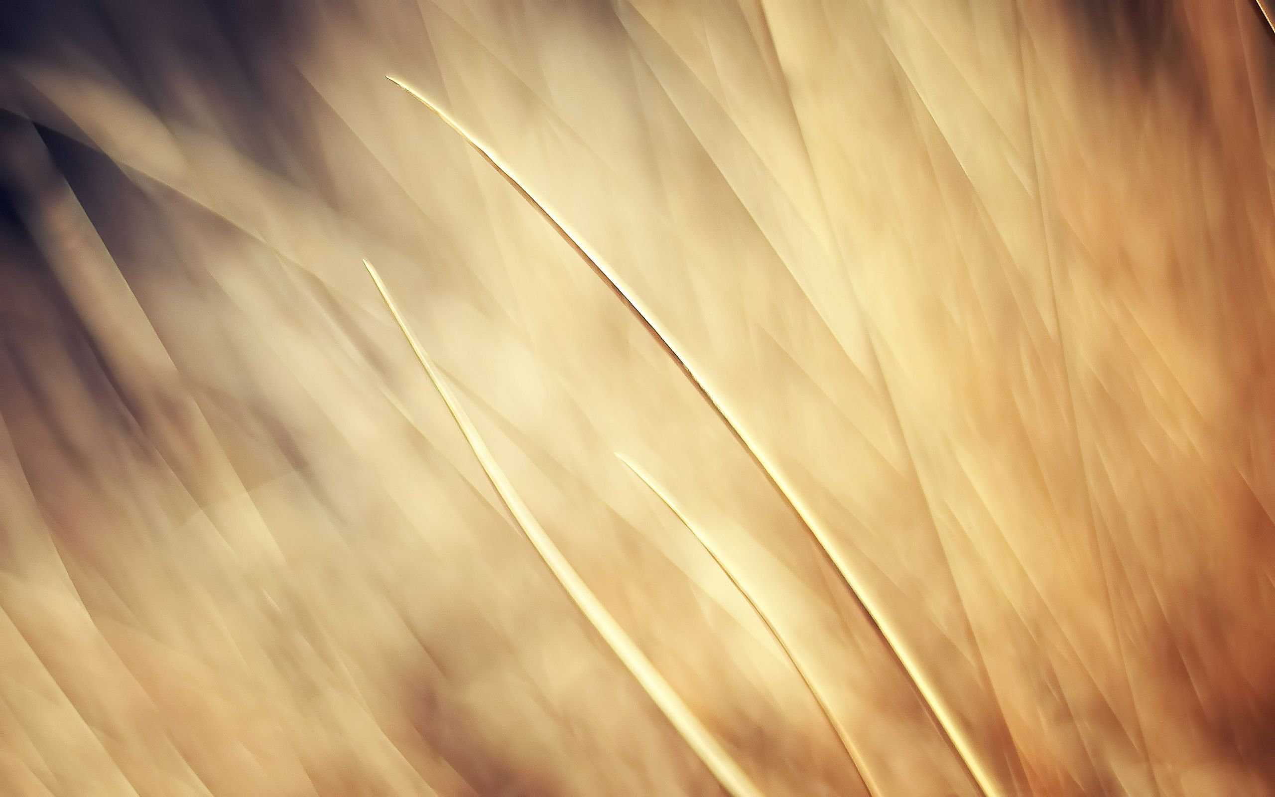 Beige Nature Wallpaper # 6777136