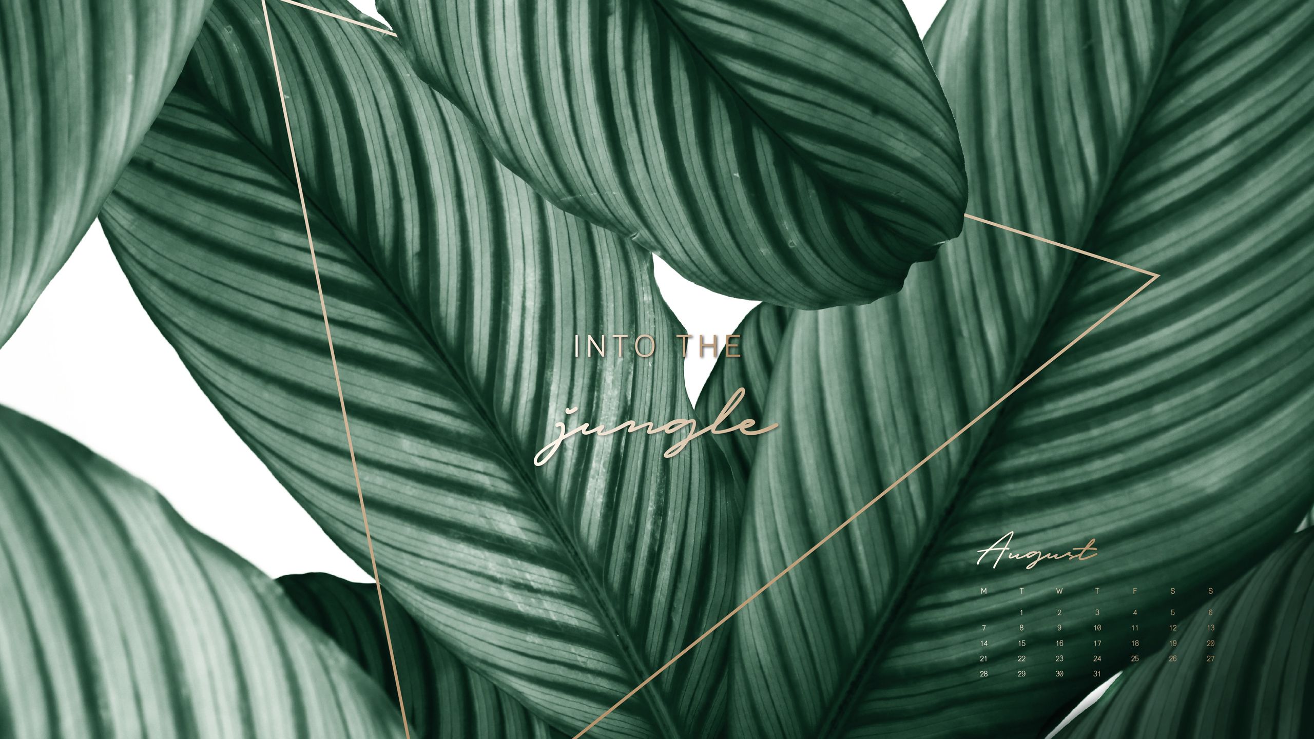 Fondos de plantas