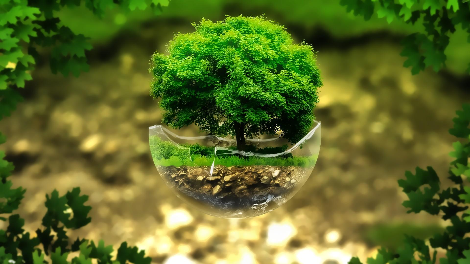 Fondo de pantalla de plantas 1920x1080