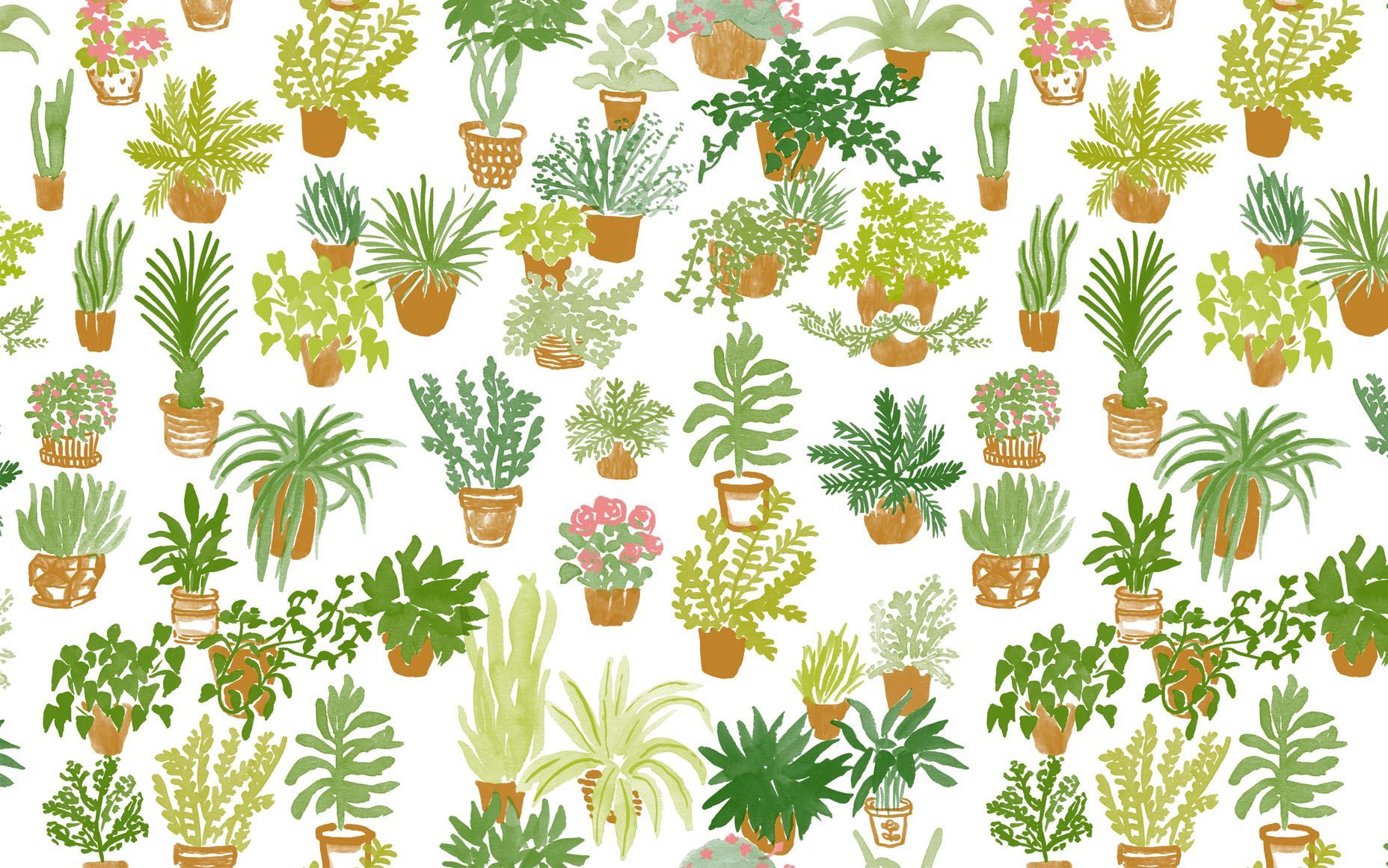 escritorio #papel #plantas | Arte: fondos de escritorio en 2019 | Vestir