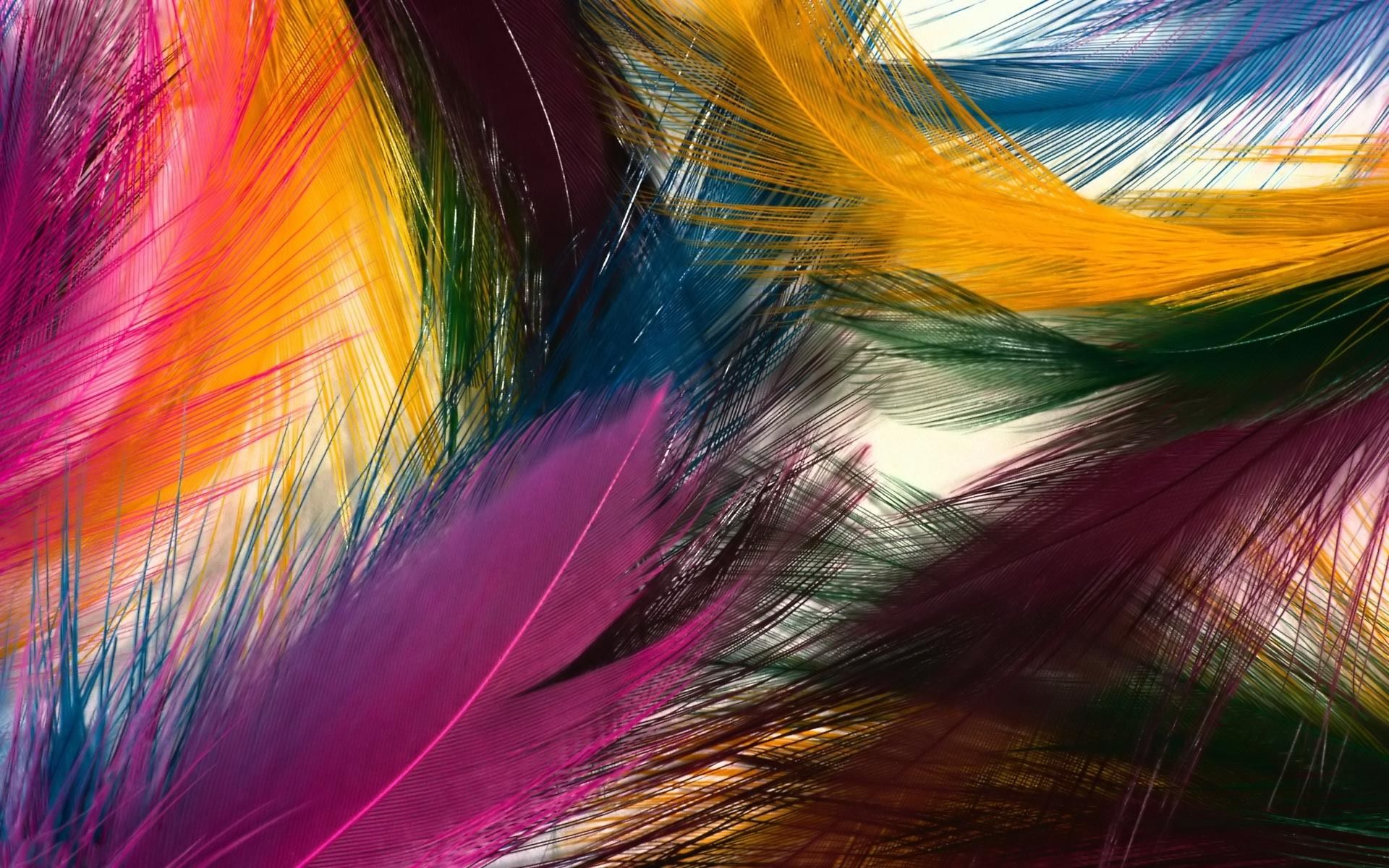 Plumas Wallpapers