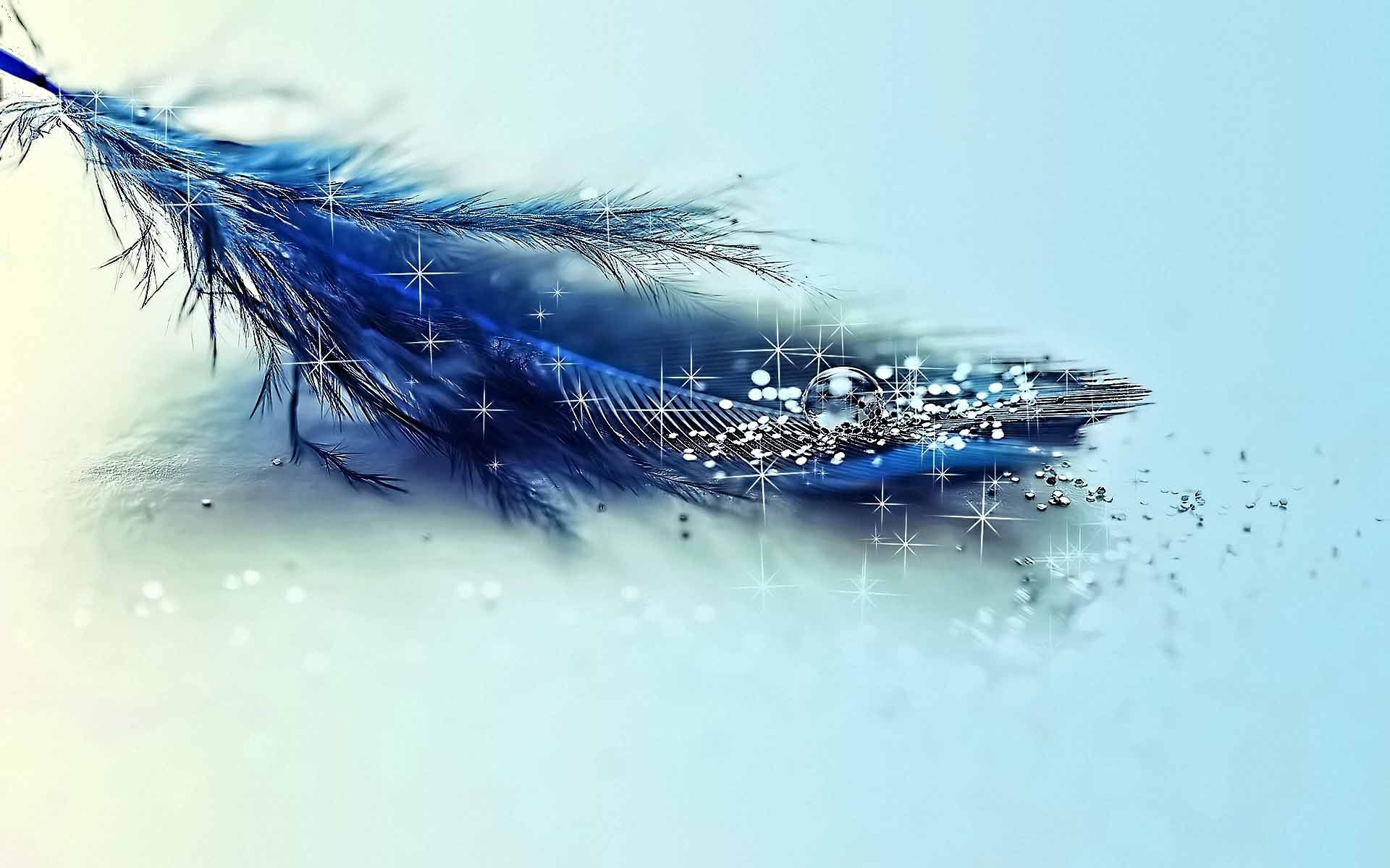 40+] Fondo de pantalla con plumas