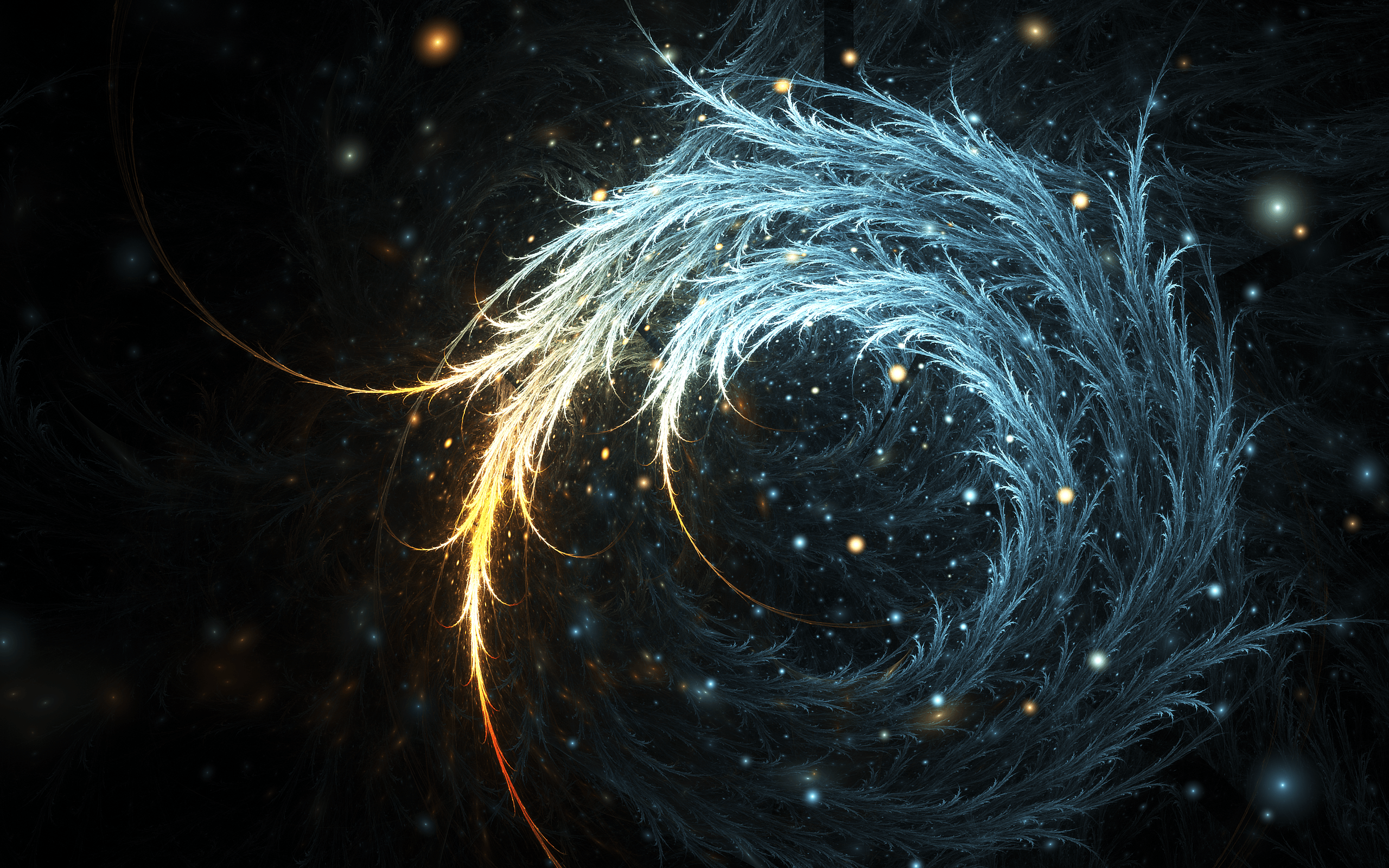 Fondo de pantalla de plumas | 2560x1600 | # 56099