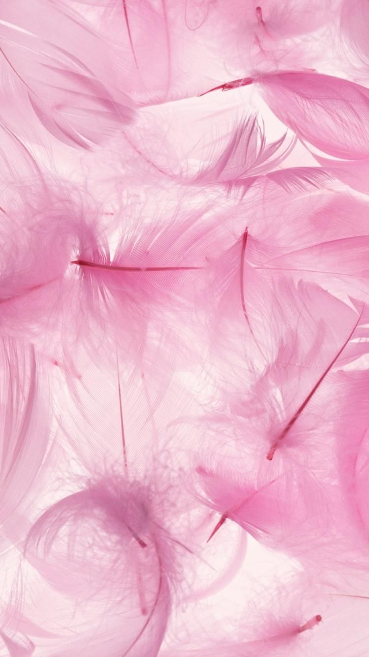 Fondo de pantalla de plumas 750x1334