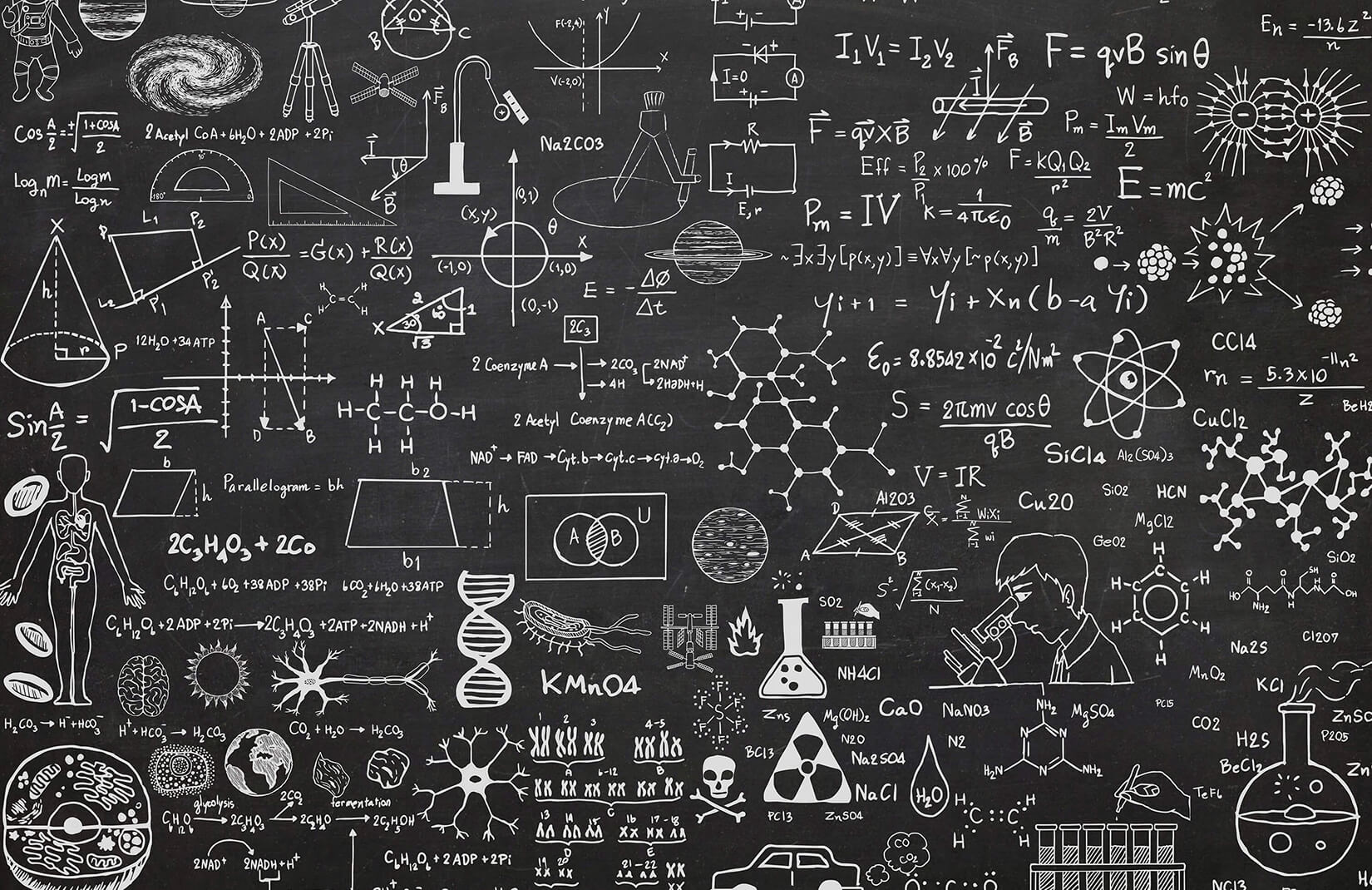 Mural de papel tapiz de pizarra de ciencia | Murales