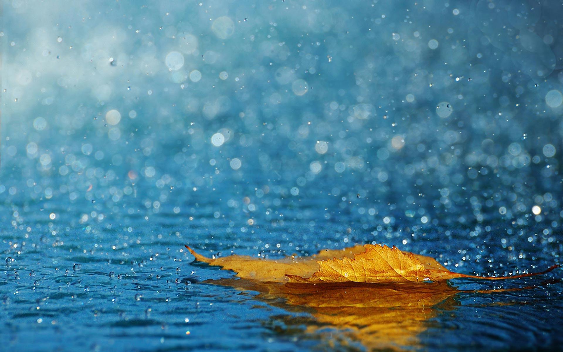 Rain Wallpapers HD - Wallpaper Cueva