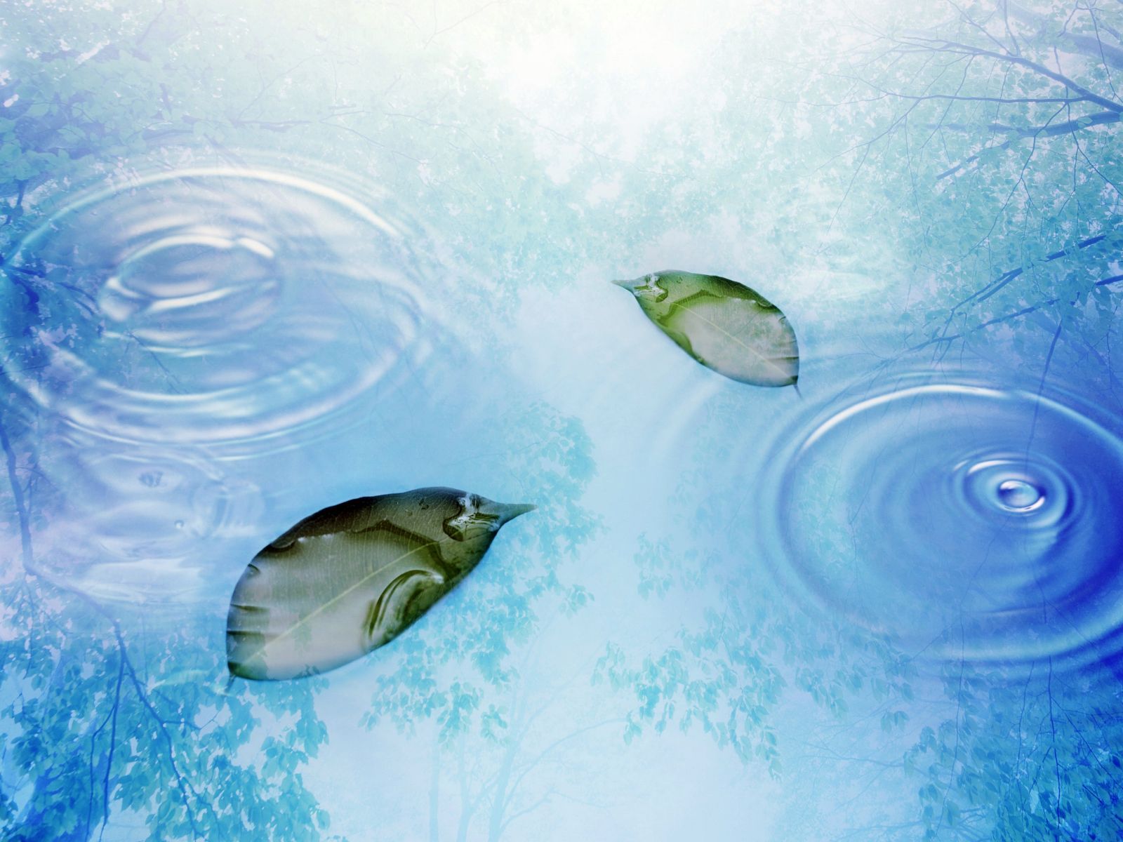 Lluvia Fondos de pantalla | HD Wallpapers Pulse