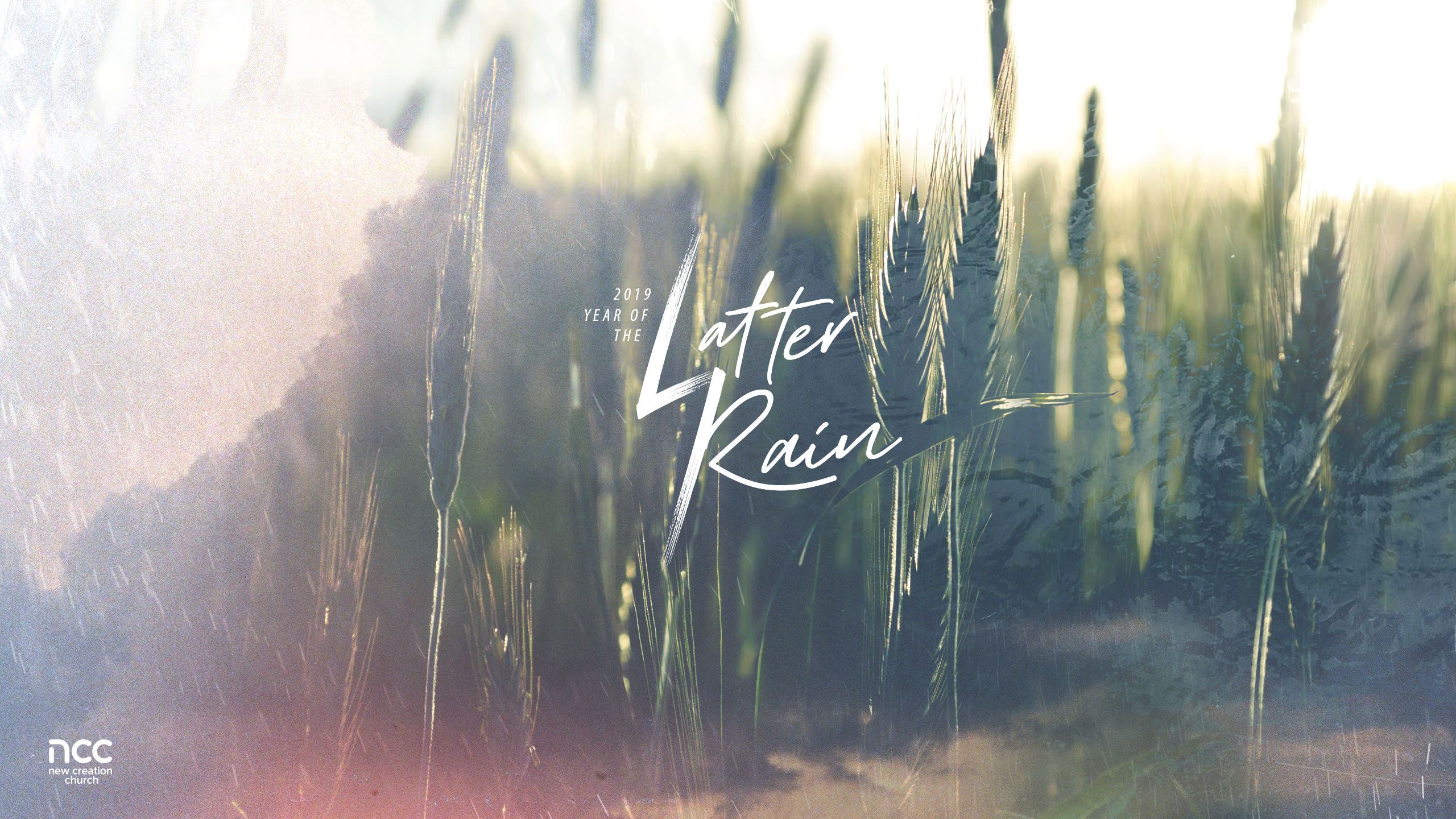 Fondos de tema del año 2019