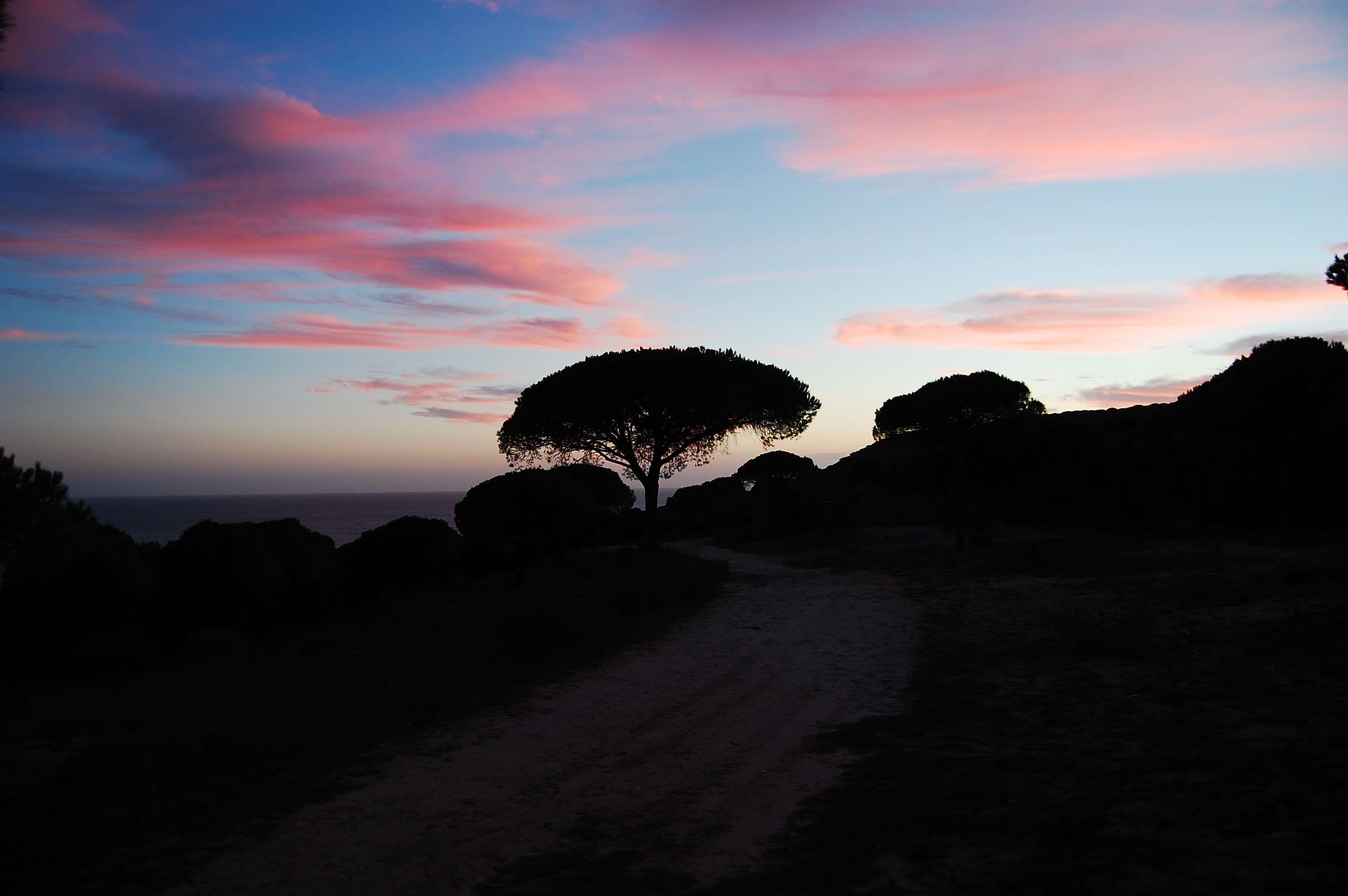 3080949 lila, fondo de pantalla puesta de sol y fondo | Imágenes de archivo gratis