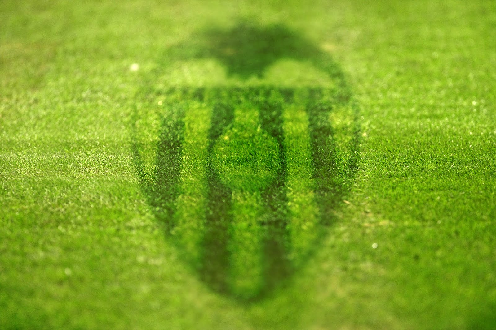 Valencia Cf Valencia Cf Wallpapers Initiative - Valencia Cf - Foto