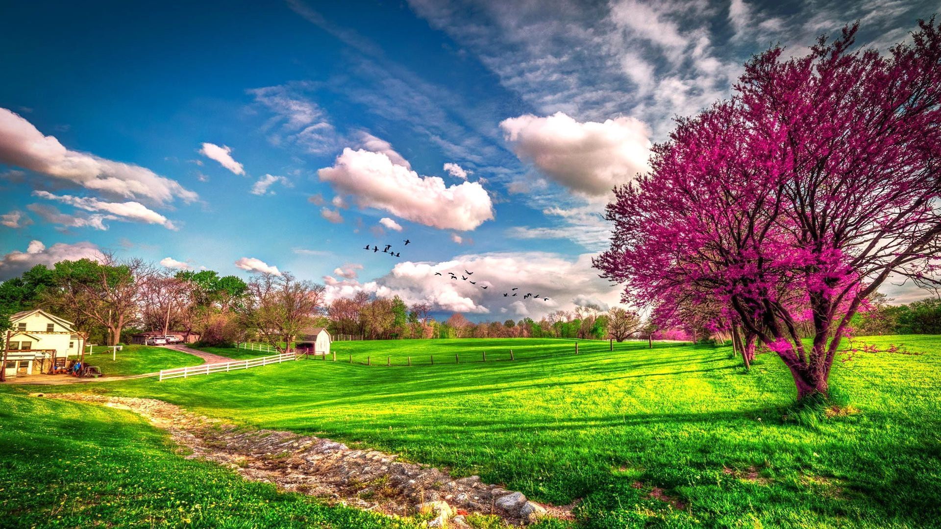 Más de 70 fondos de pantalla de Scenic Spring - Descarga