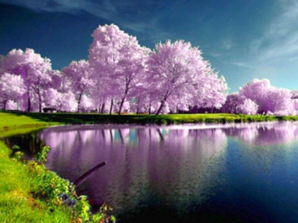High Resolution Spring Fondos de Escritorio | -spring-wallpapers-hd