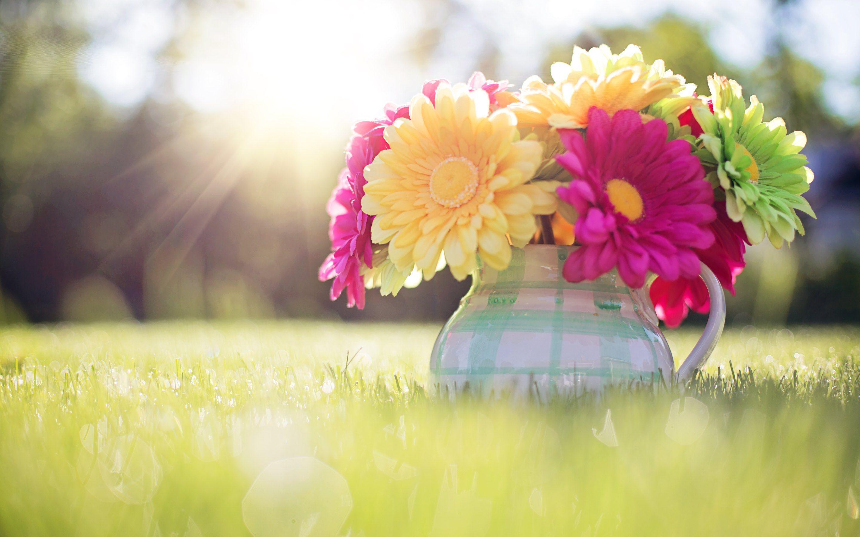 Beautiful Flowers Spring Wallpaper [2880x1800]: fondos de pantalla