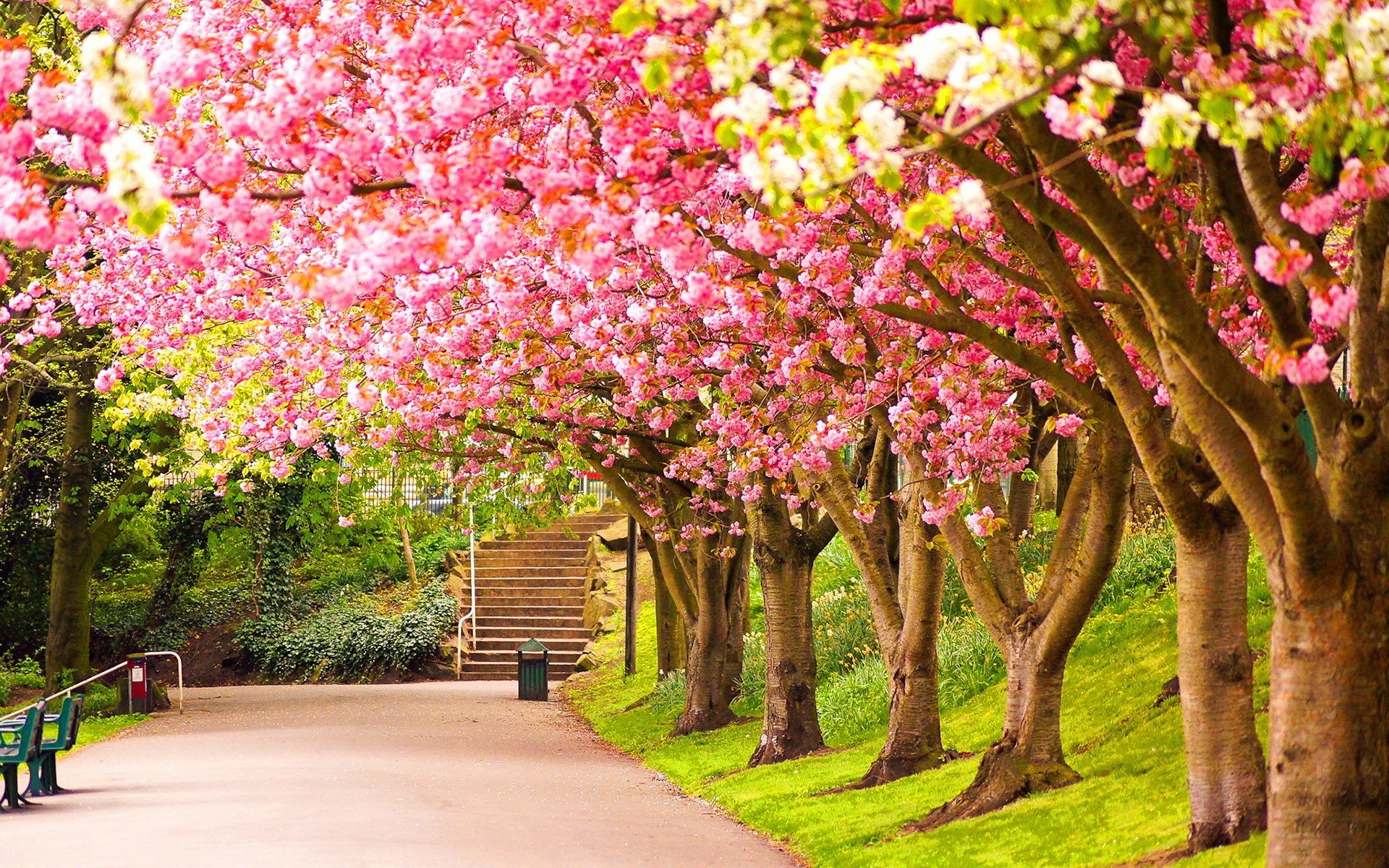 Más de 63 fondos de pantalla de Springtime