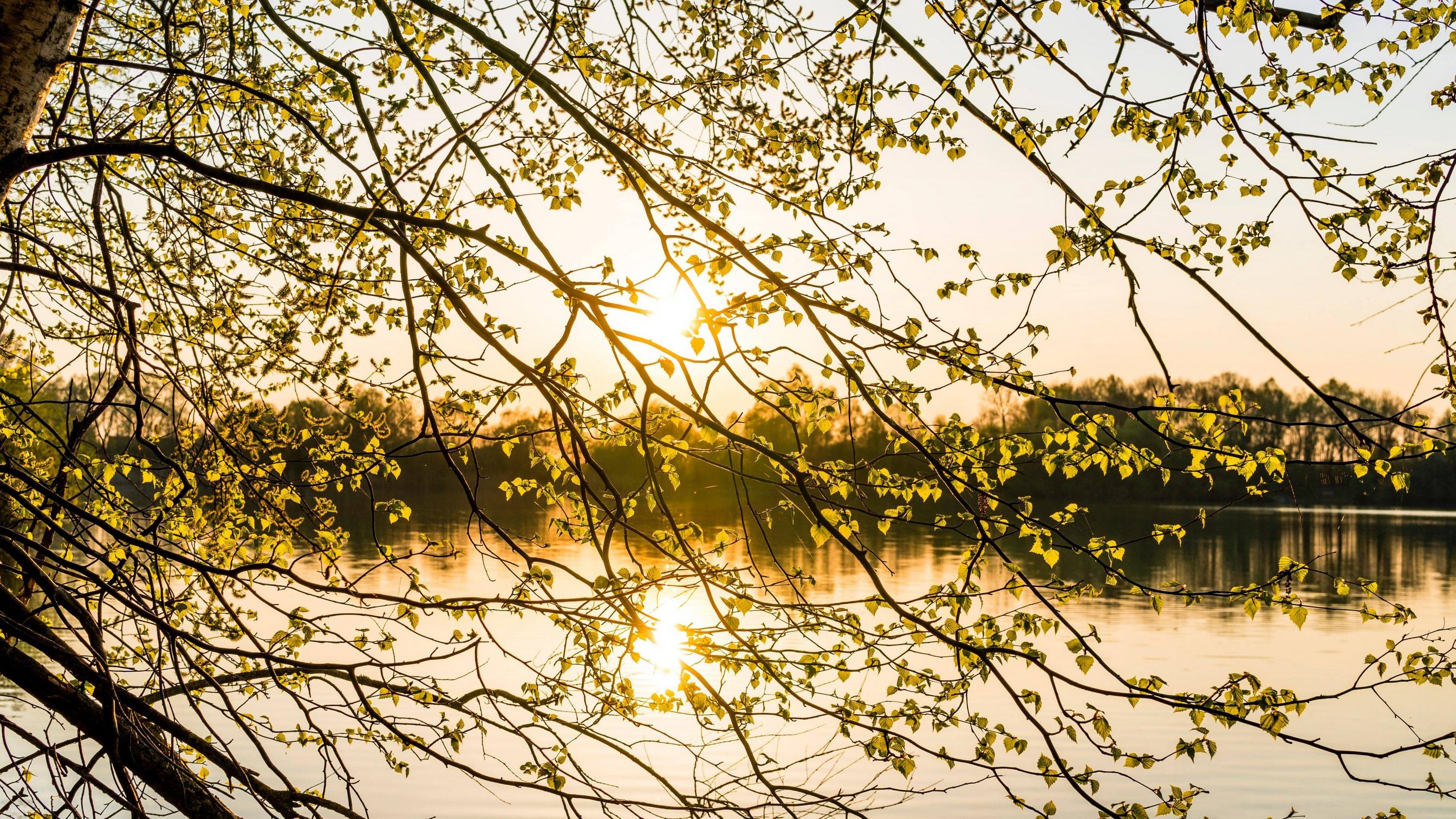Principios de la primavera Fondos