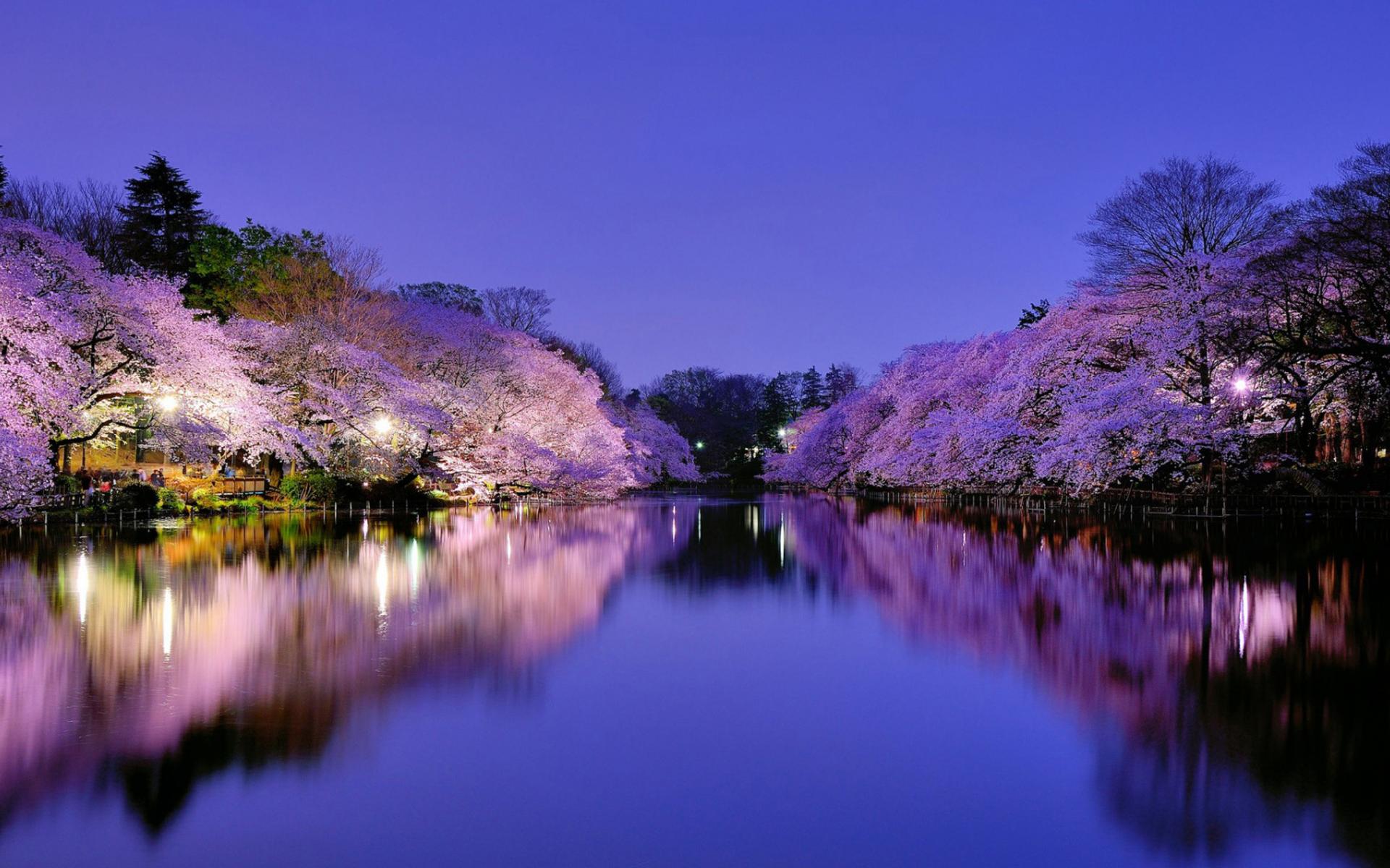 Spring Wallpaper 11 - 2560 X 1440 | stmed.net
