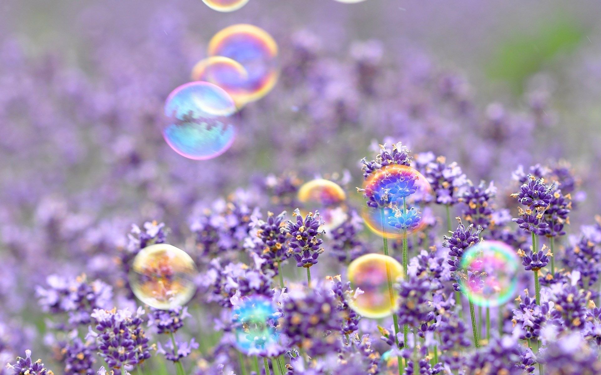 3D Spring Wallpaper, descarga la imagen de una hermosa imagen de primavera hd