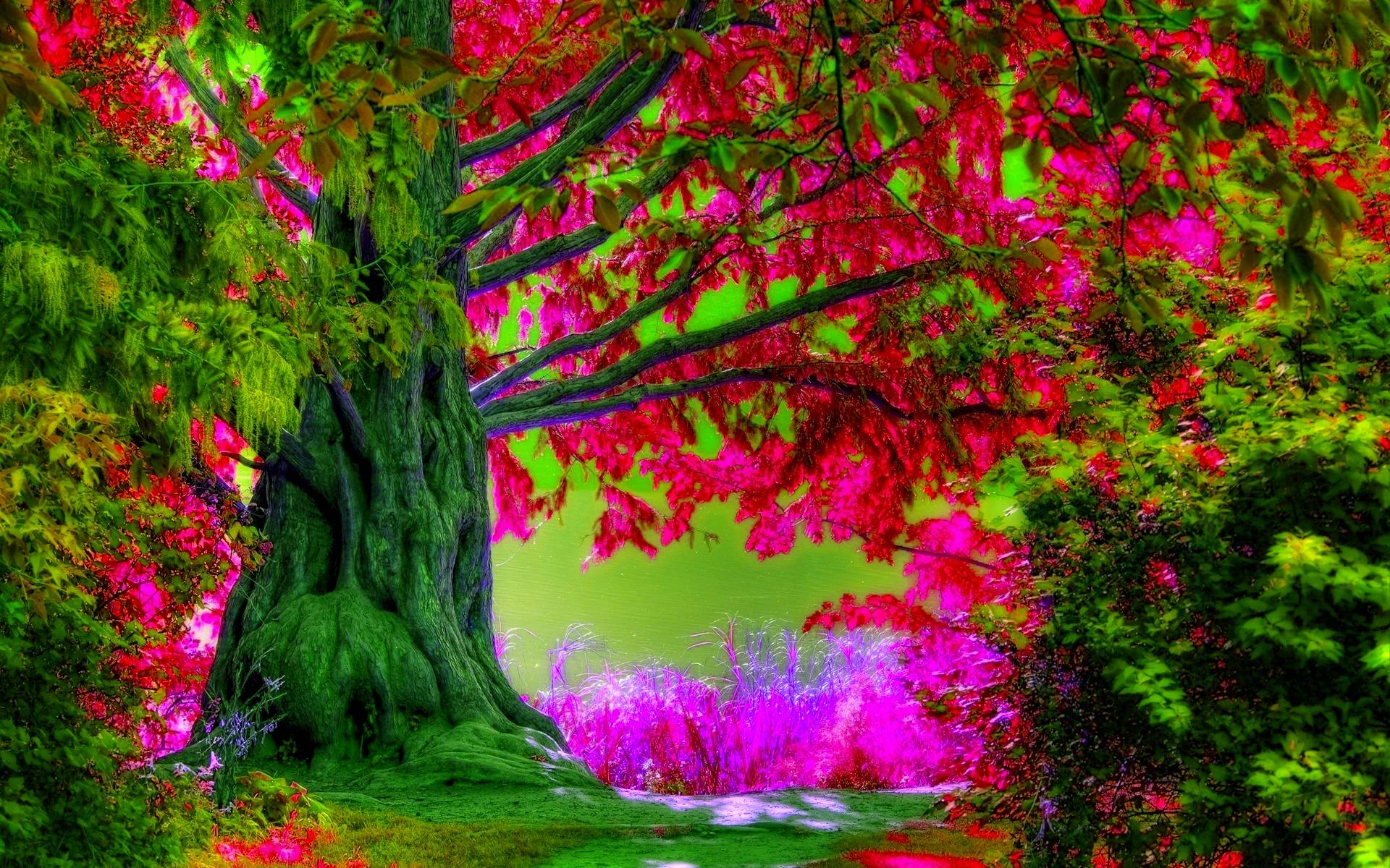 Descargar gratis fondos de pantalla de computadora Fondos Primavera - Escritorio