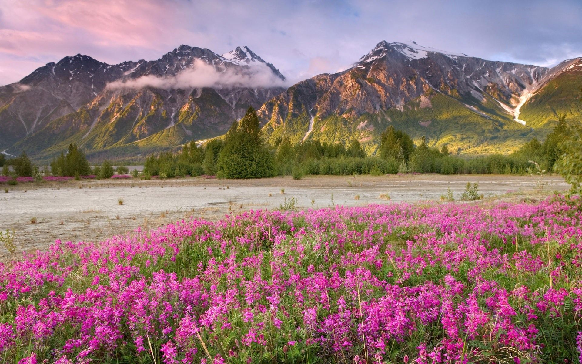 47+] Gratis Fondos de Mountain Spring