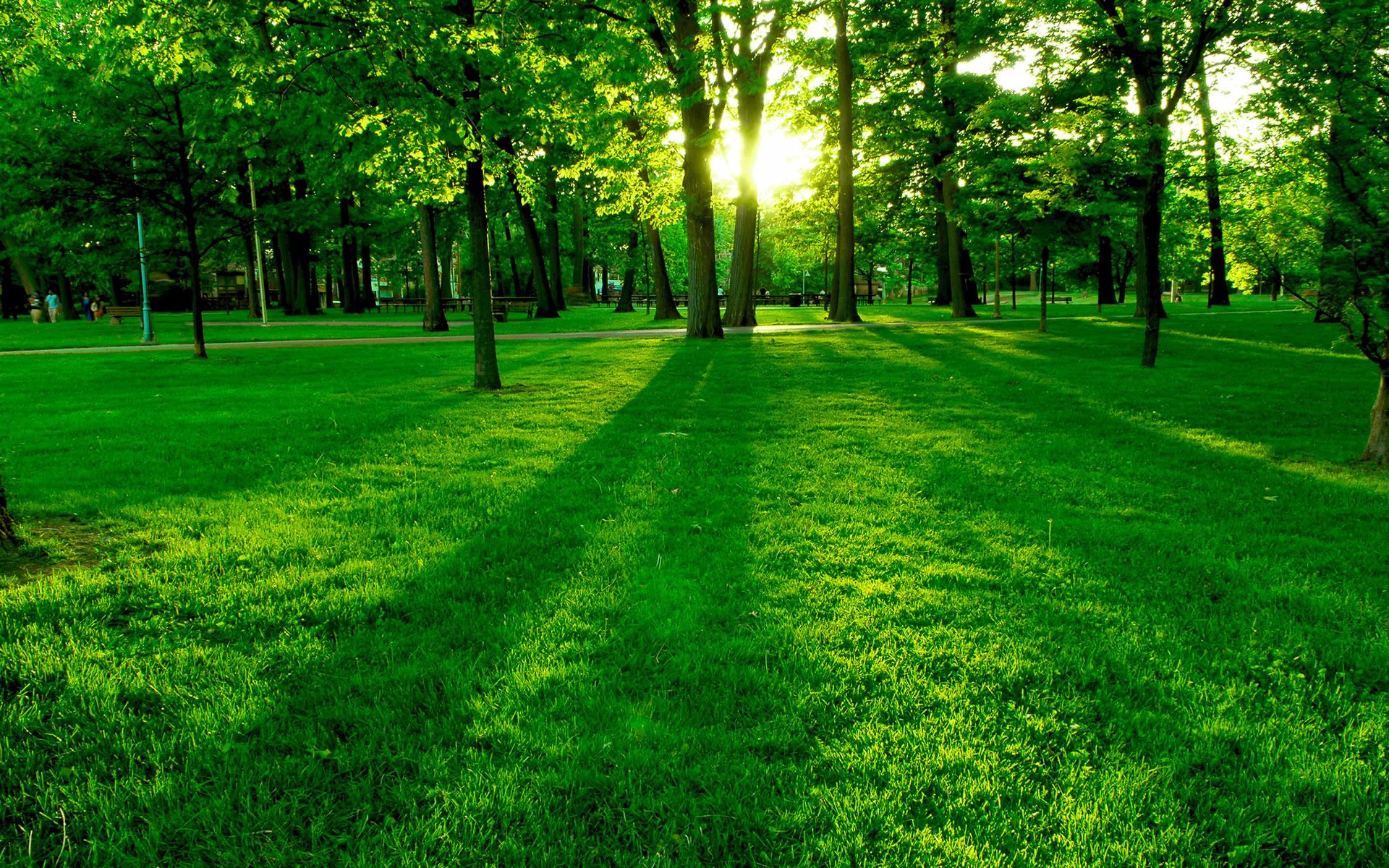Spring wallpaper | 1920x1200 | # 51857