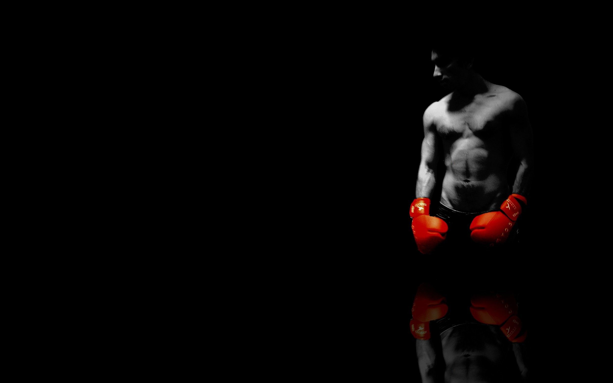 Boxing Wallpapers HD (68+ imágenes)