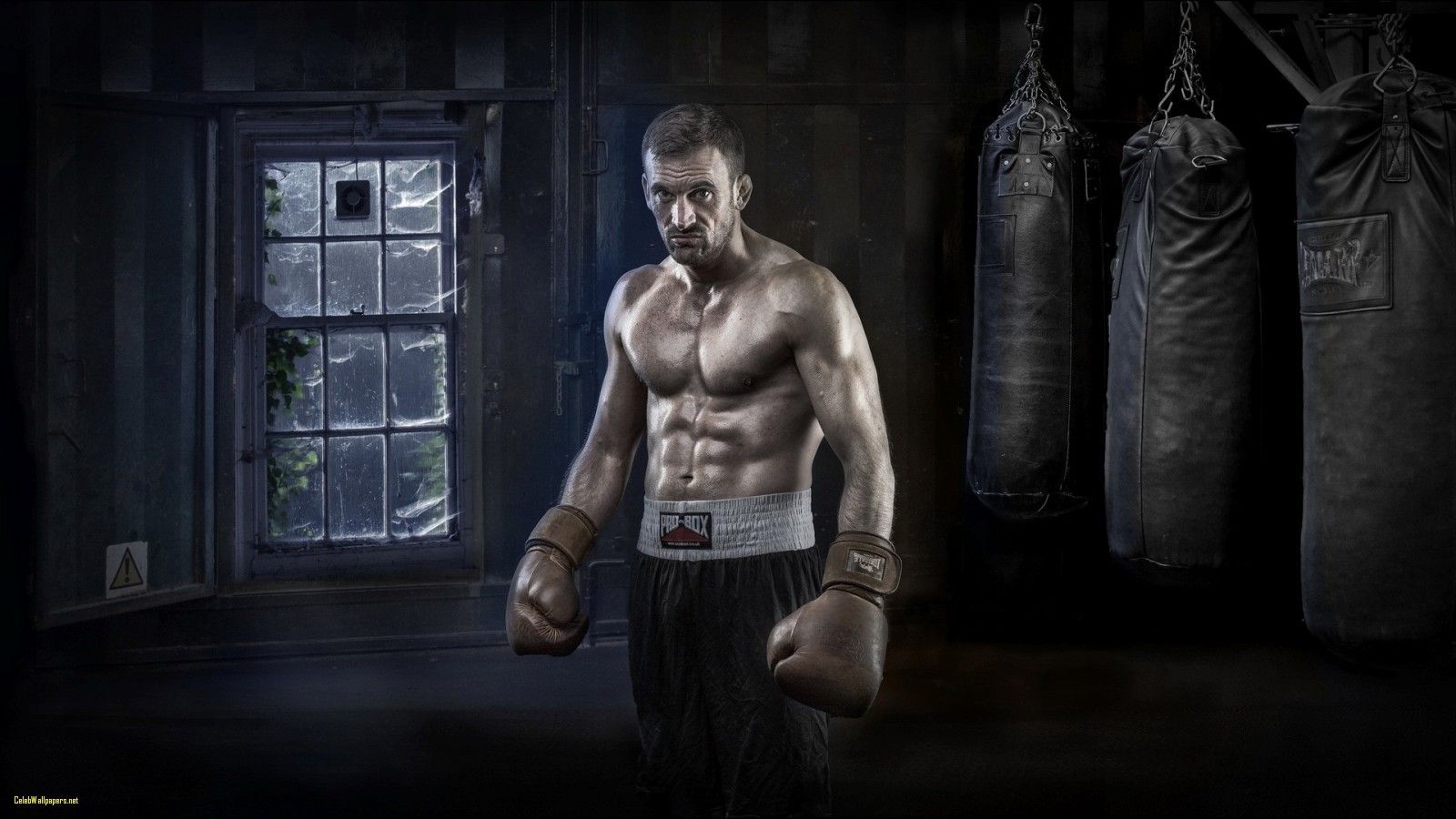 Fondo de pantalla de boxeo 23 - 1600 X 900 | stmed.net