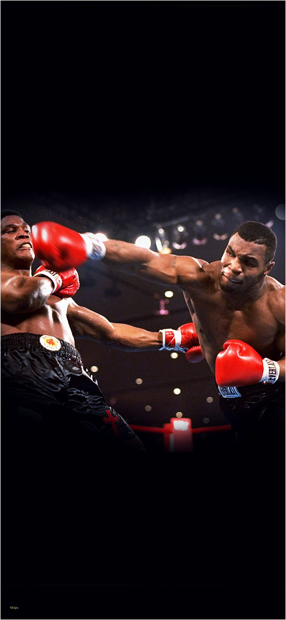 Mike Tyson Wallpaper Elegante fondo de pantalla de boxeo 78 Fondo - Hierro