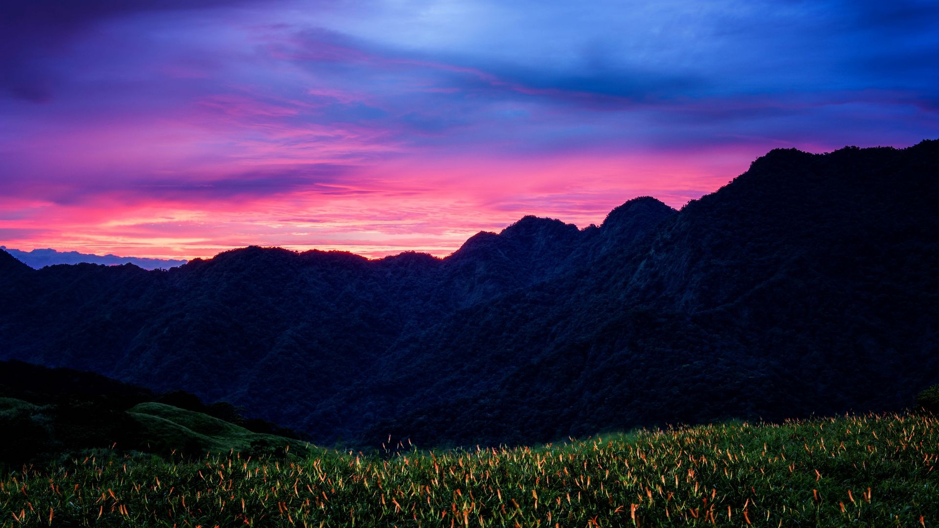 Descargar fondo de pantalla 1920x1080 montañas, puesta de sol, flores, nubes