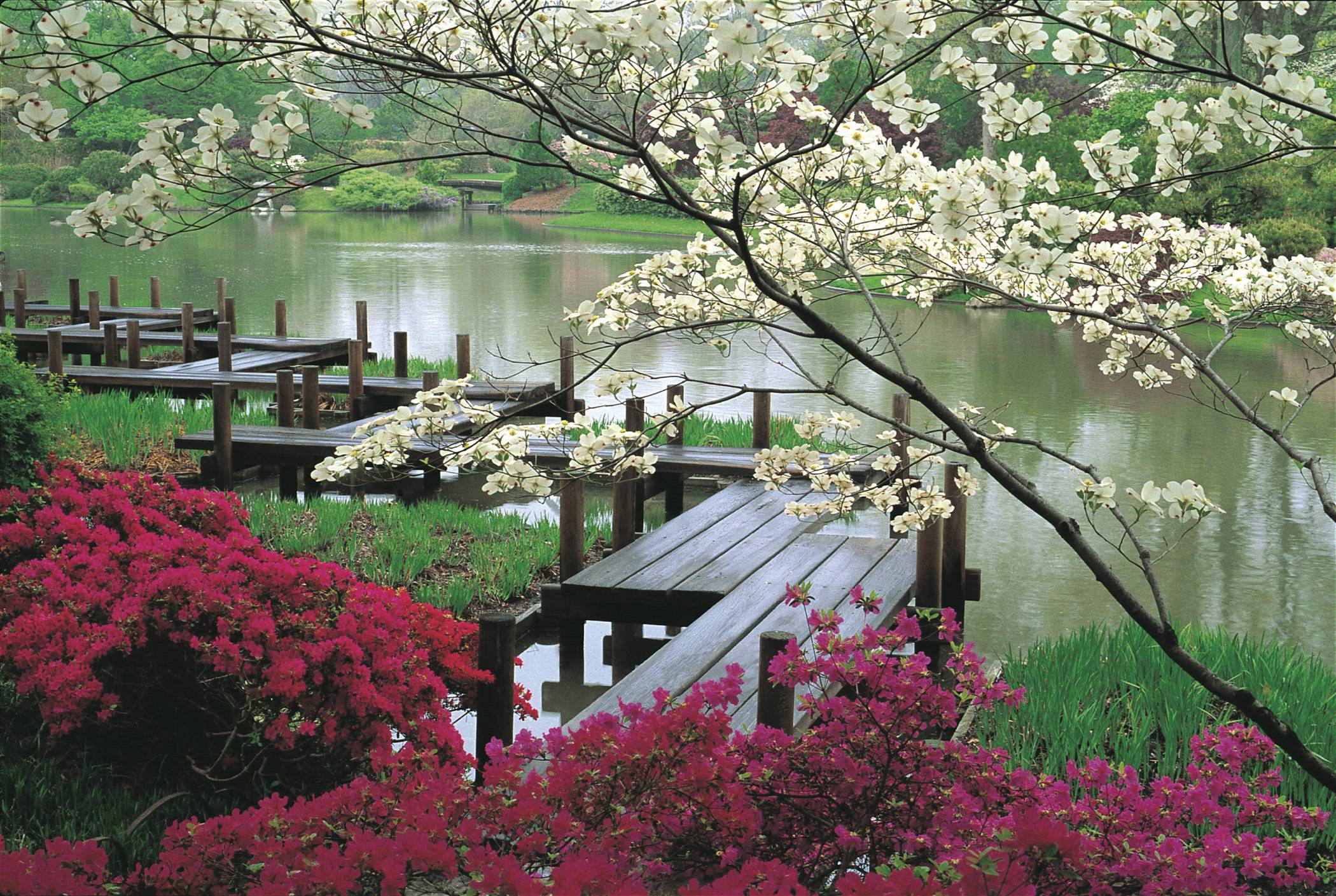 Spring in Japan Wallpapers HD descarga gratuita