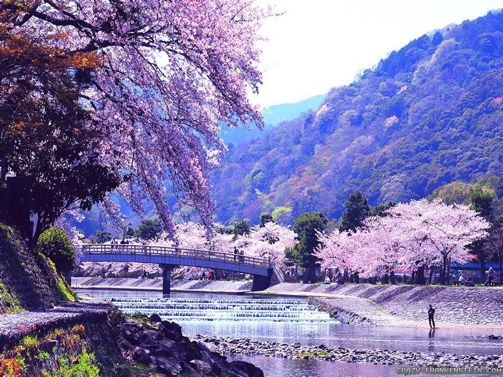 Japanese Nature Wallpapers
