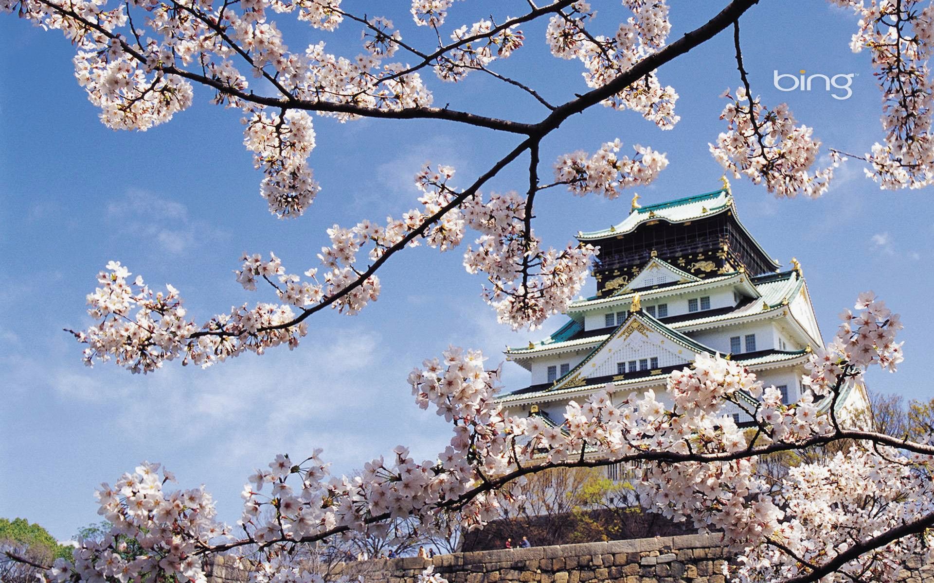 Japanese Landscape Best Of Japanese Landscape Wallpapers Fondos de pantalla