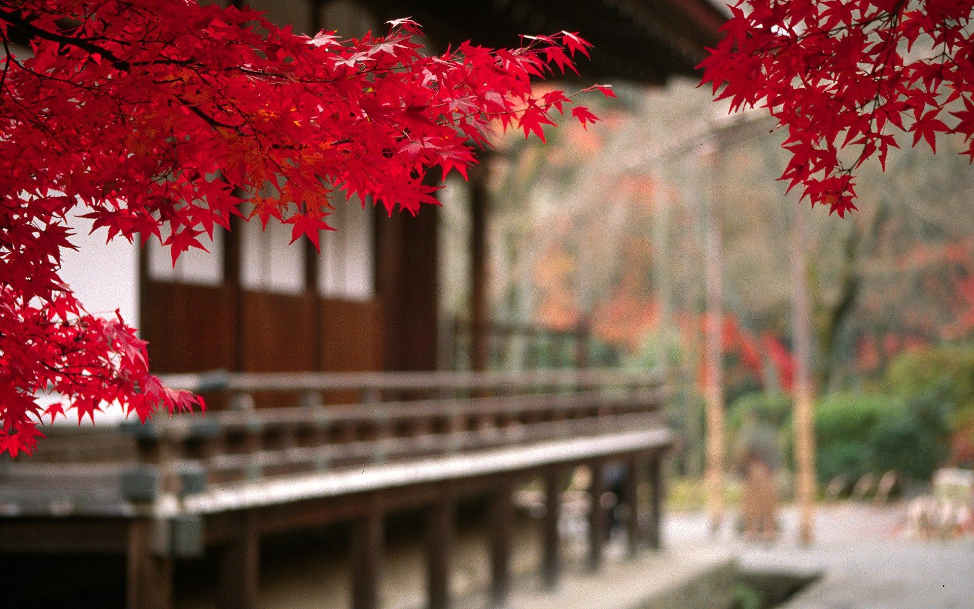 Japan Hd Wallpapers (28+ images)