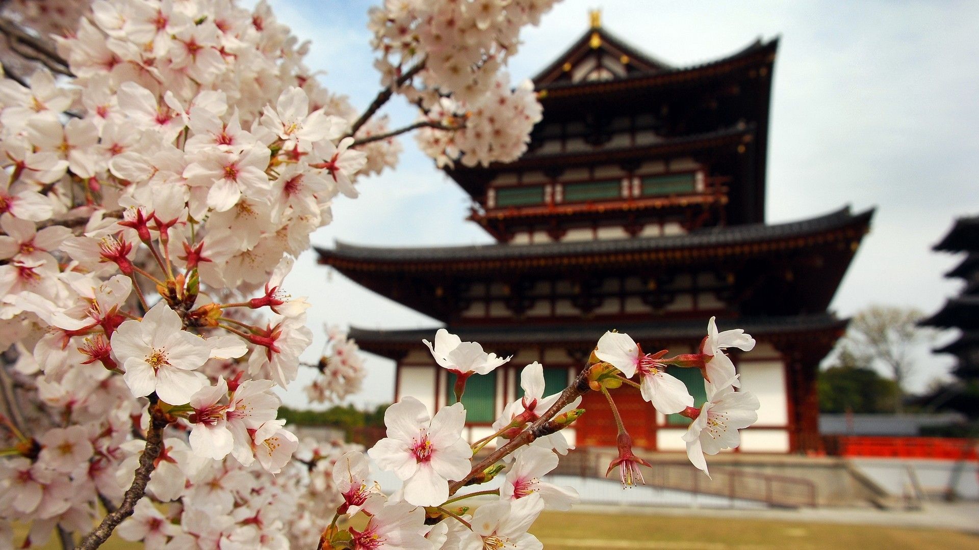 japón paisajes paisajes urbanos jardines japoneses templos japoneses