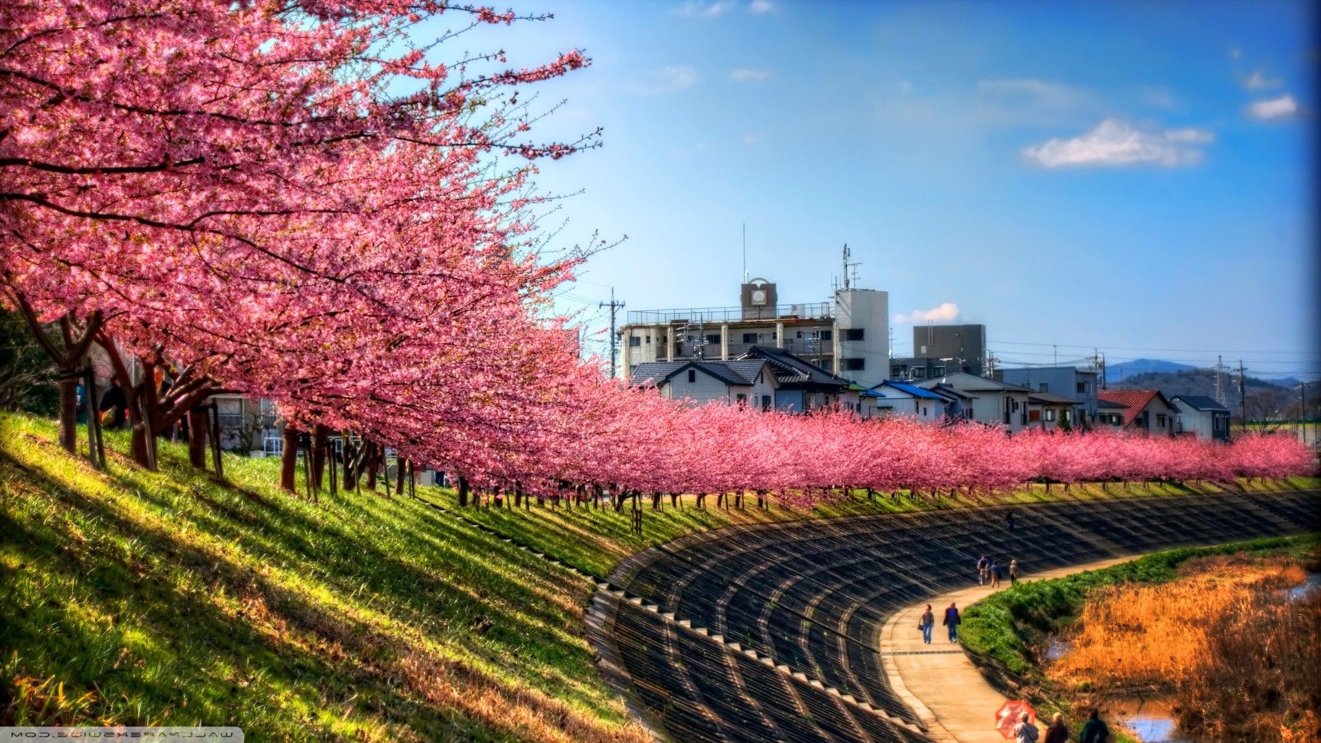 Japanese Landscape Wallpaper 1920x1080 px