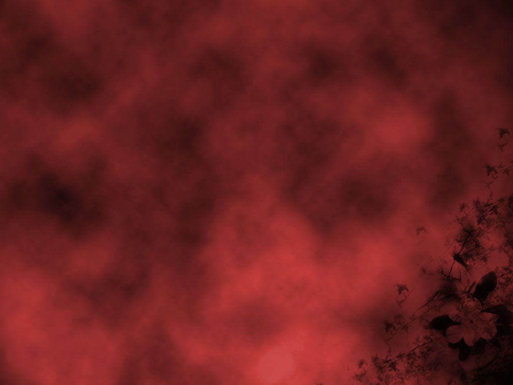 Descargar gratis Maroon Wallpapers y Maroon Backgrounds Backgrounds
