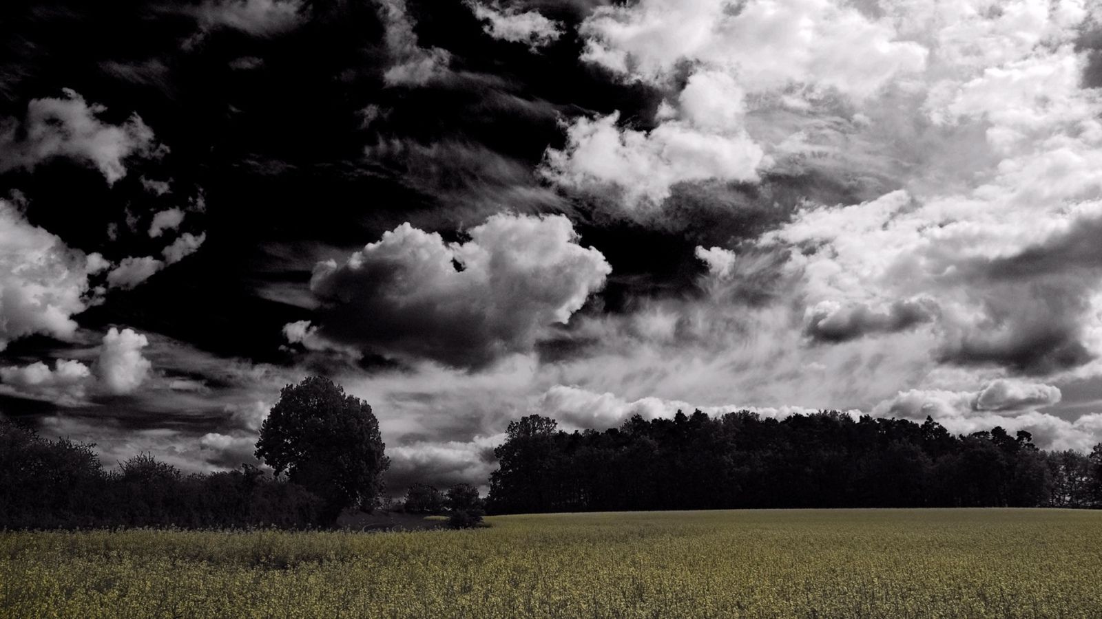 Impresionante fondo de pantalla panorámica Sky | Wide-Wallpapers.NET
