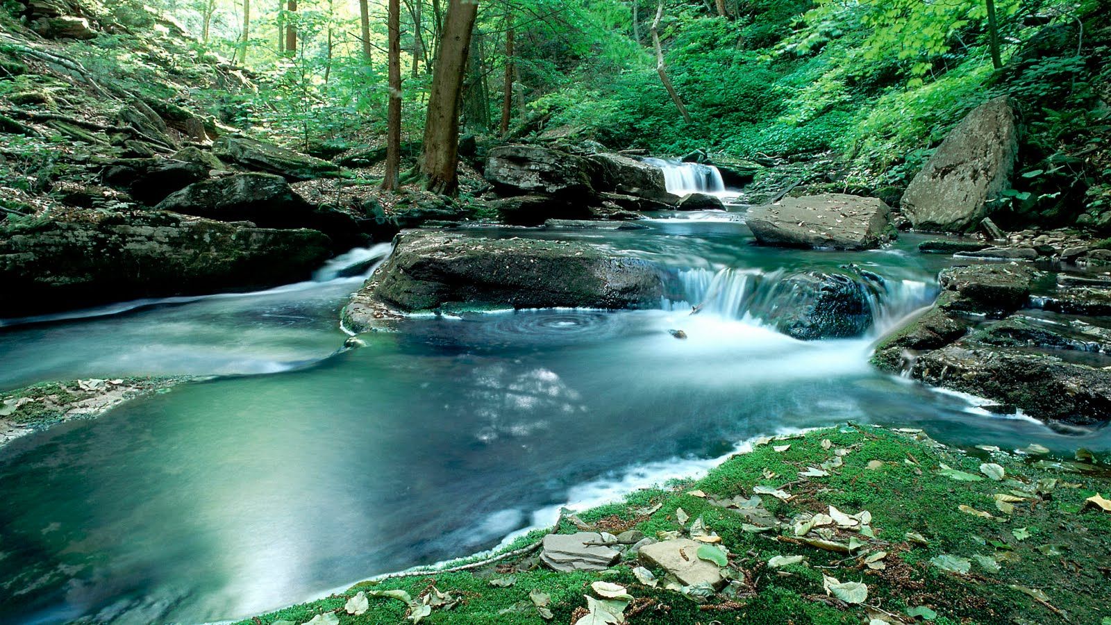 Fondo de pantalla para escritorio Naturaleza Impresionante Fondos de escritorio