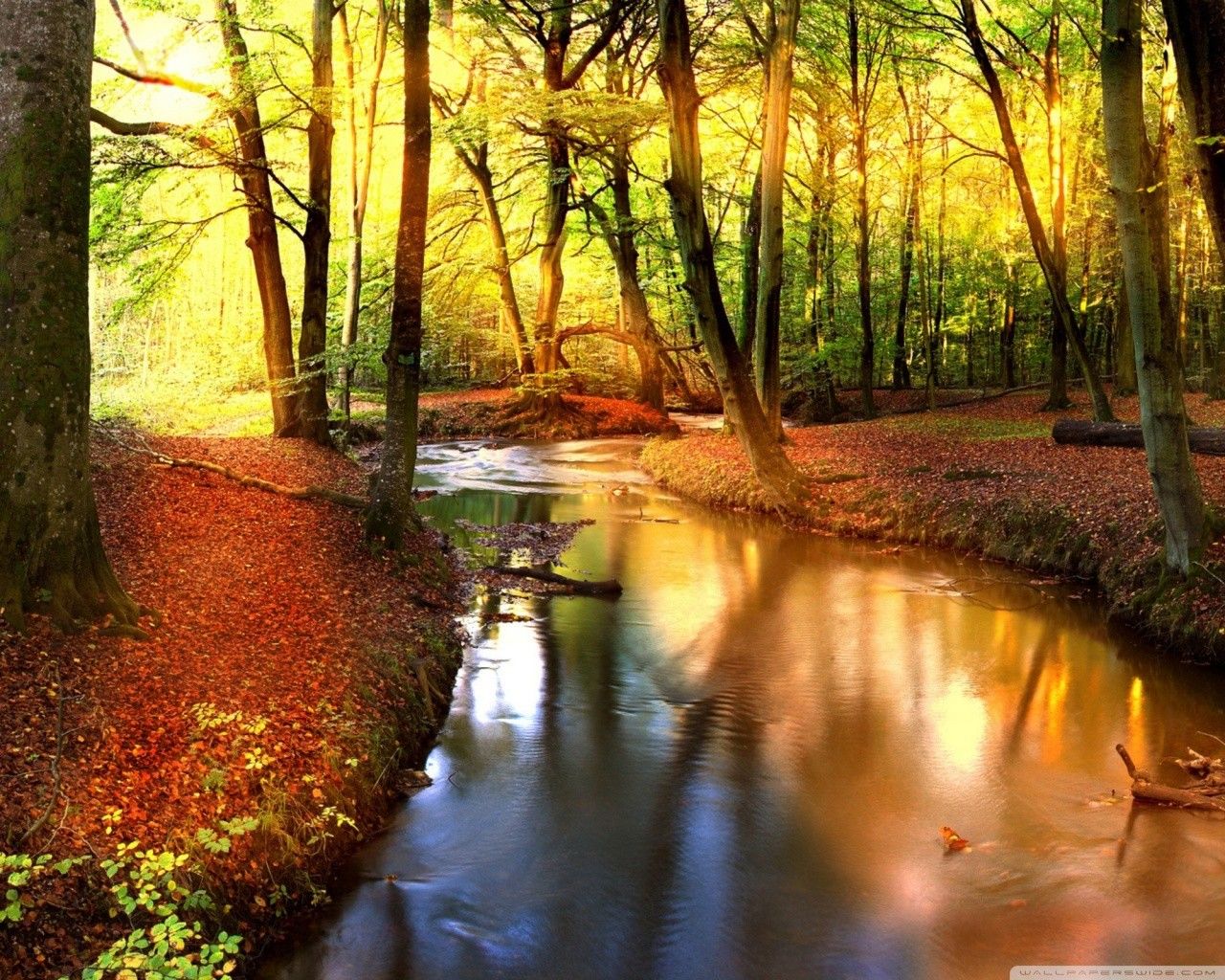 Fondos de pantalla etiquetados con Impresionante: Naturaleza Otoño Paisaje Creek