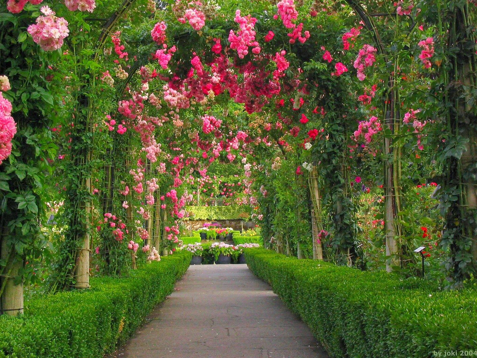 Fondos de pantalla de jardines con flores - FondosMil