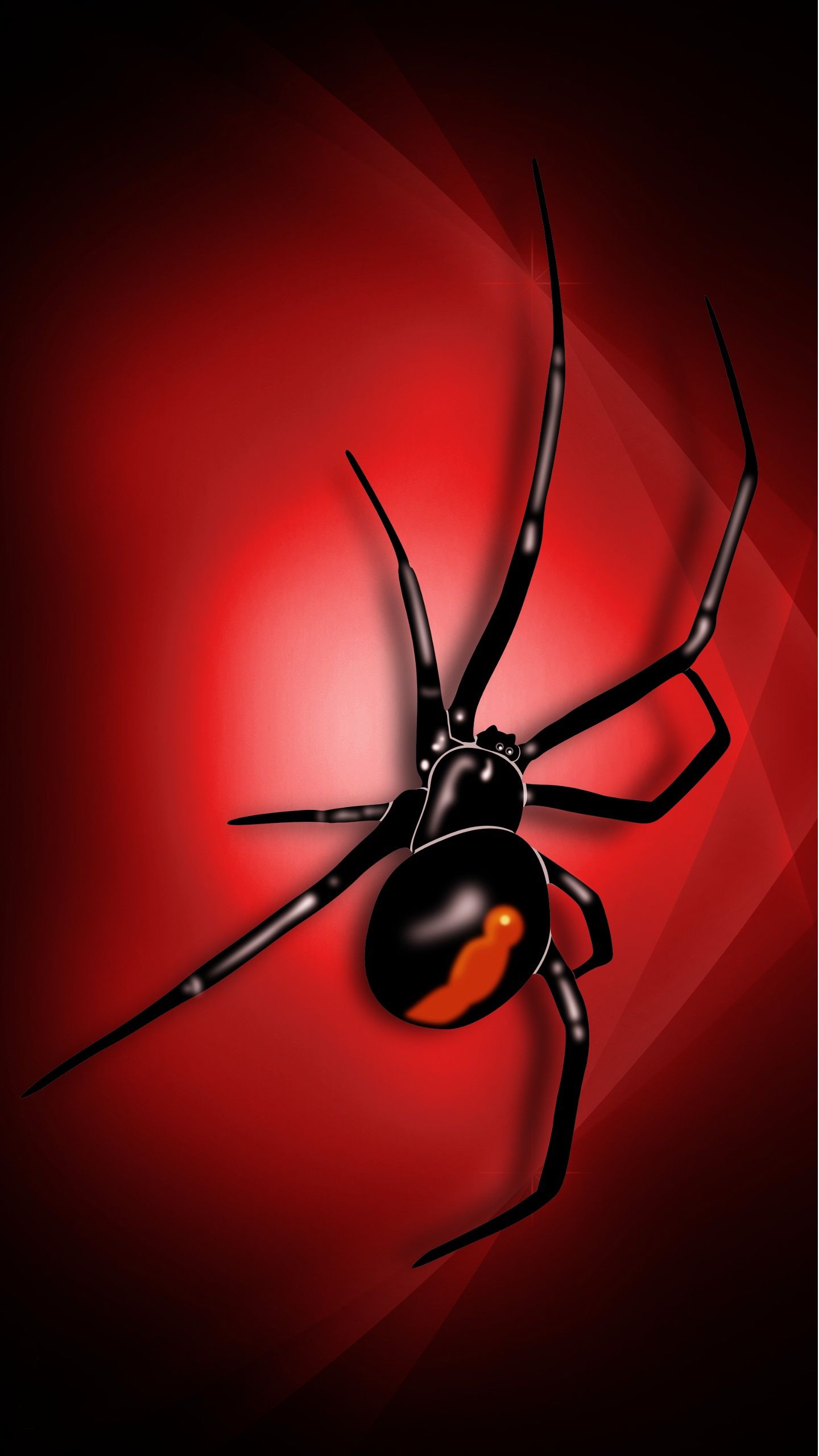 3D Spider Wallpaper iPhone 8 | 2019 3D iPhone Fondos de pantalla