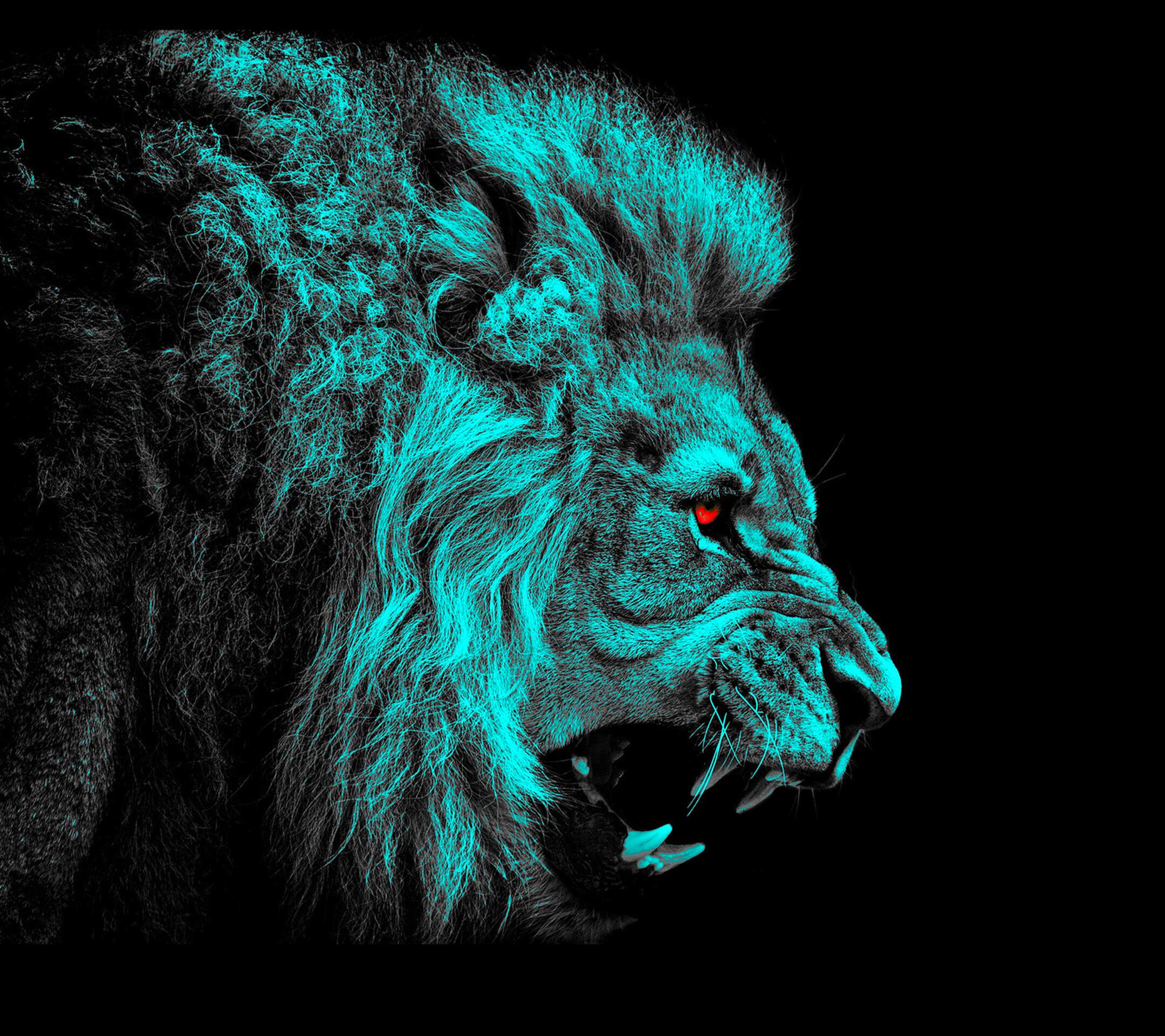1224 Lion Fondos de pantalla HD | Imágenes de fondo