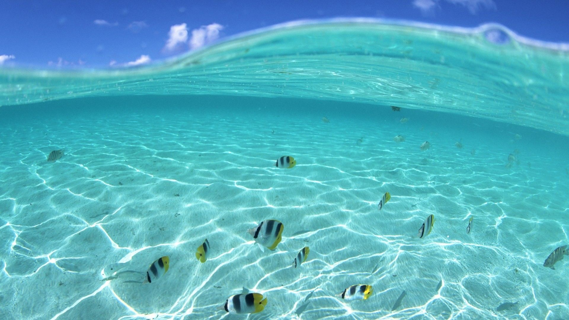 Más de 73 fondos de pantalla de Aquamarine