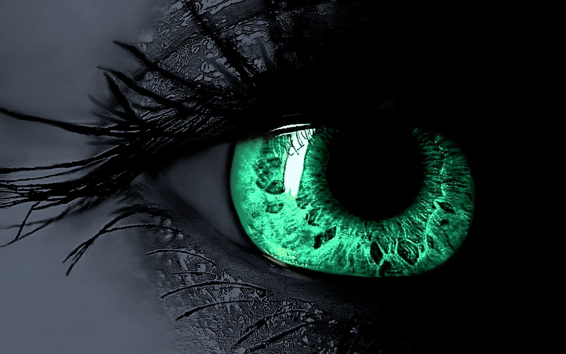 Impresionante fondo de pantalla HD (más de 65 imágenes)