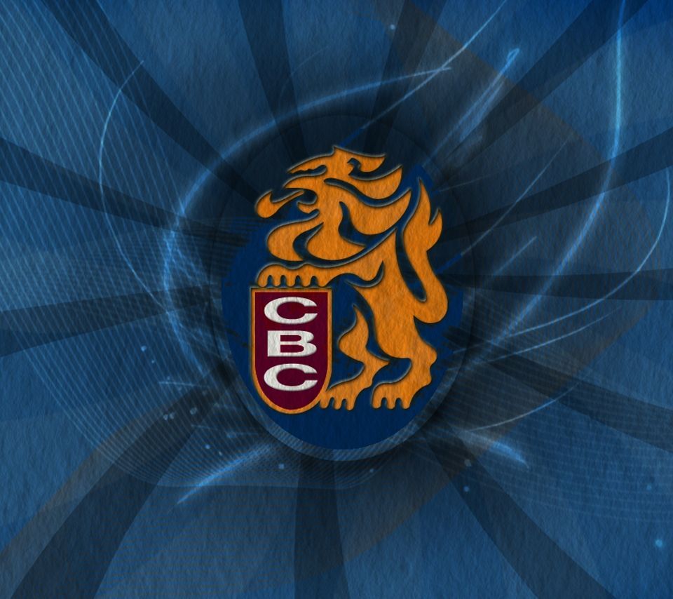 Descargar leones del caracas 2 960 X 854 Fondos de pantalla - 1611944