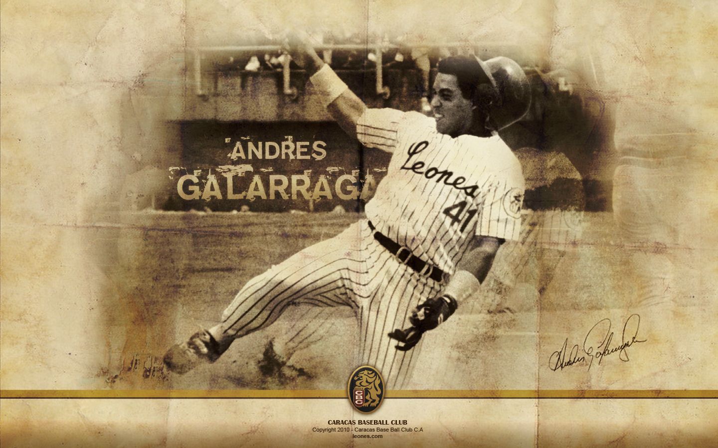 Leones del Caracas - Caracas en 450