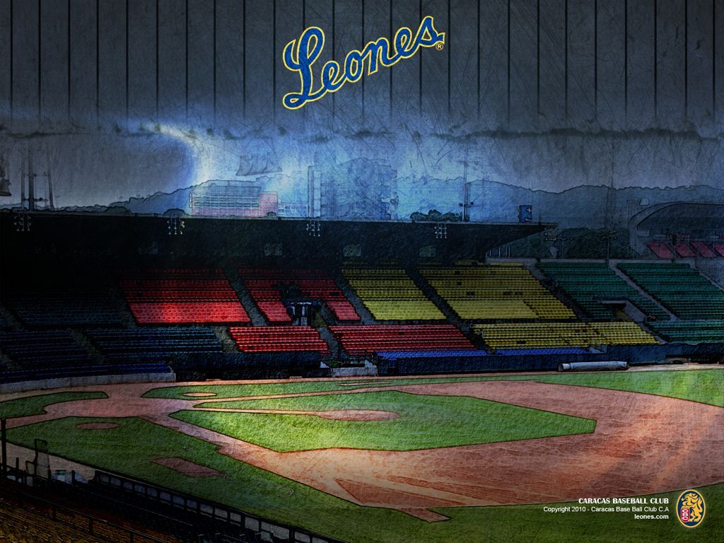 Leones Fondos De Pantalla Del Caracas Cbc Nature Wallpaper | Okase