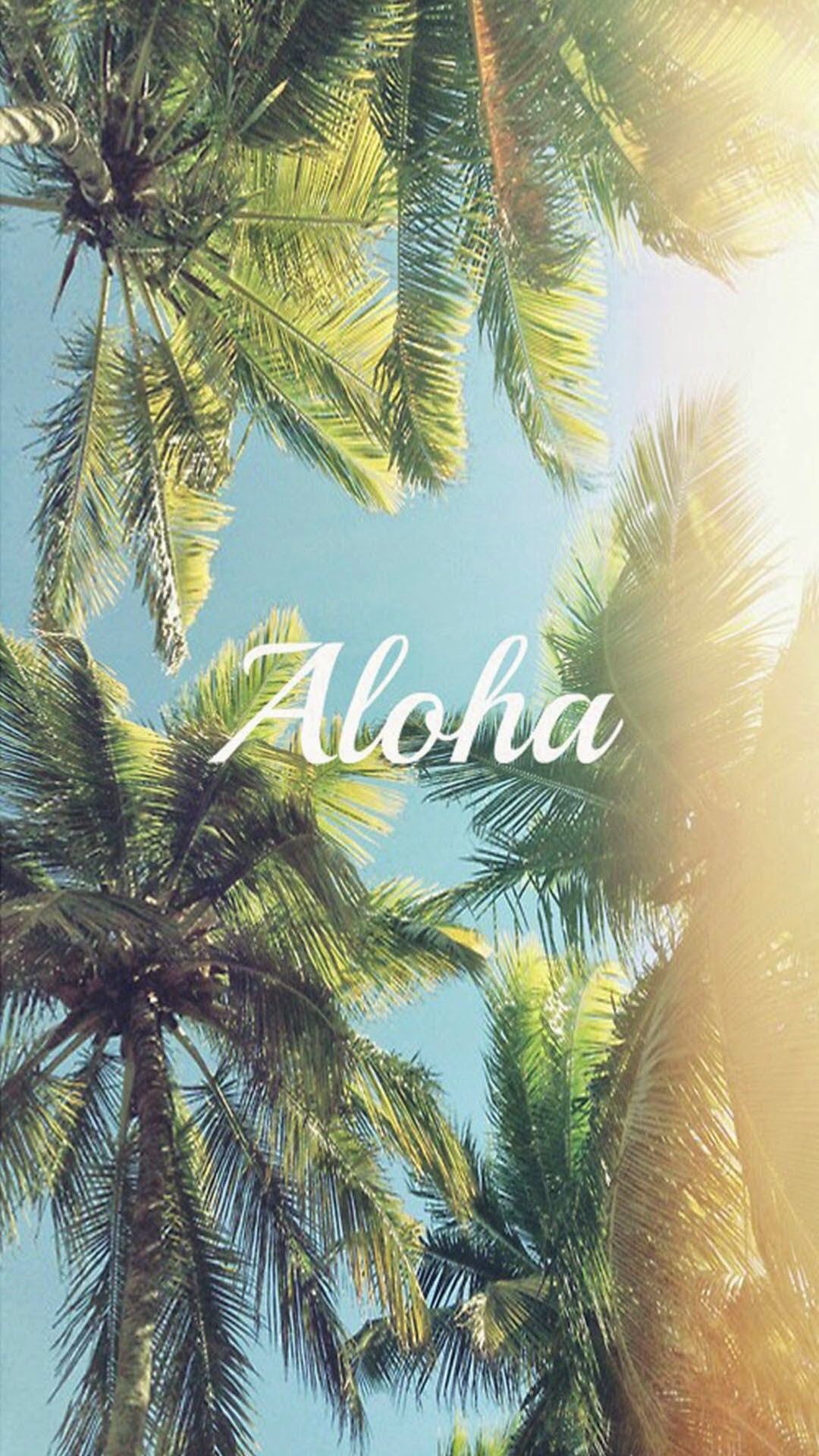 Palm Tree iPhone Fondos de pantalla (67+ imágenes)